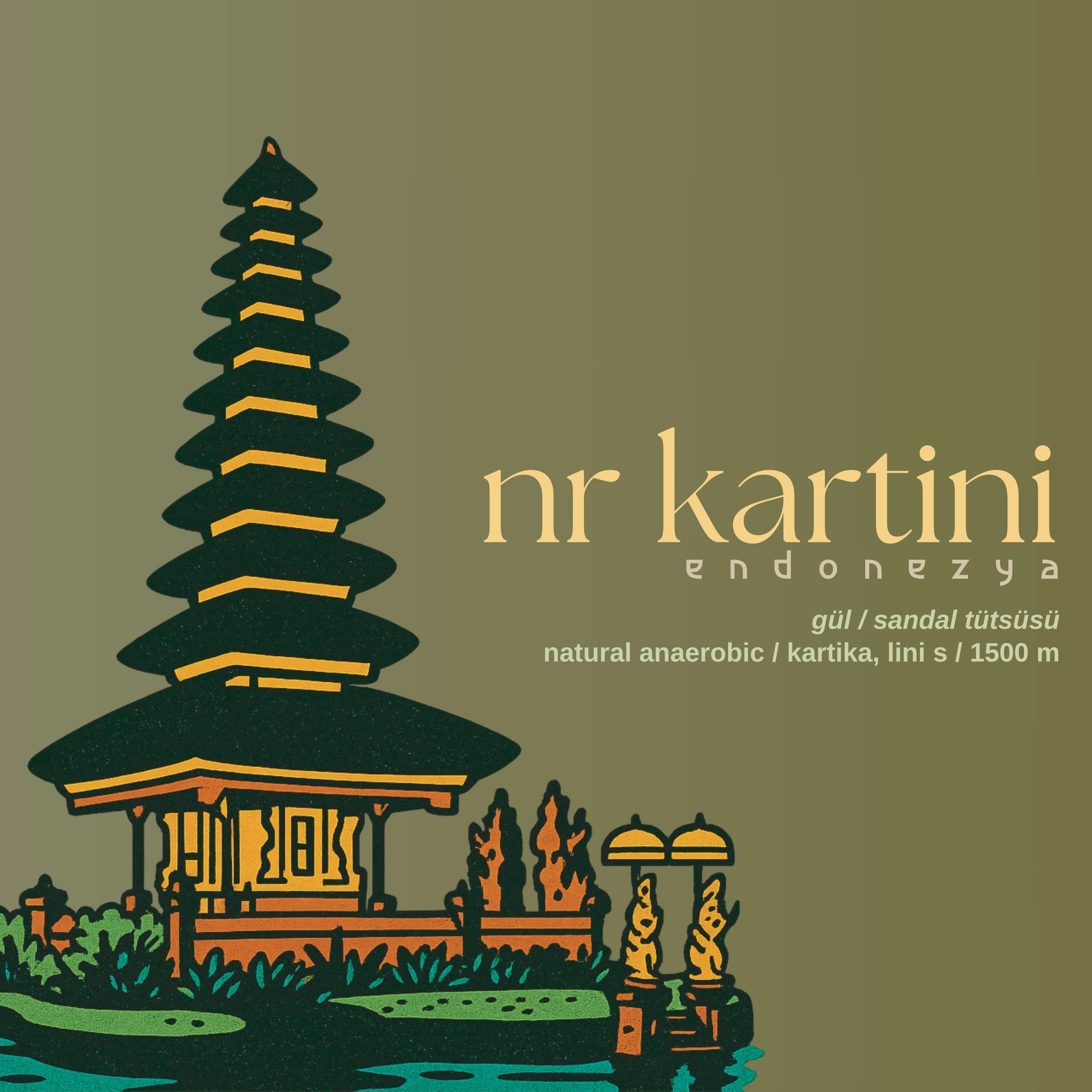 NR KARTINI