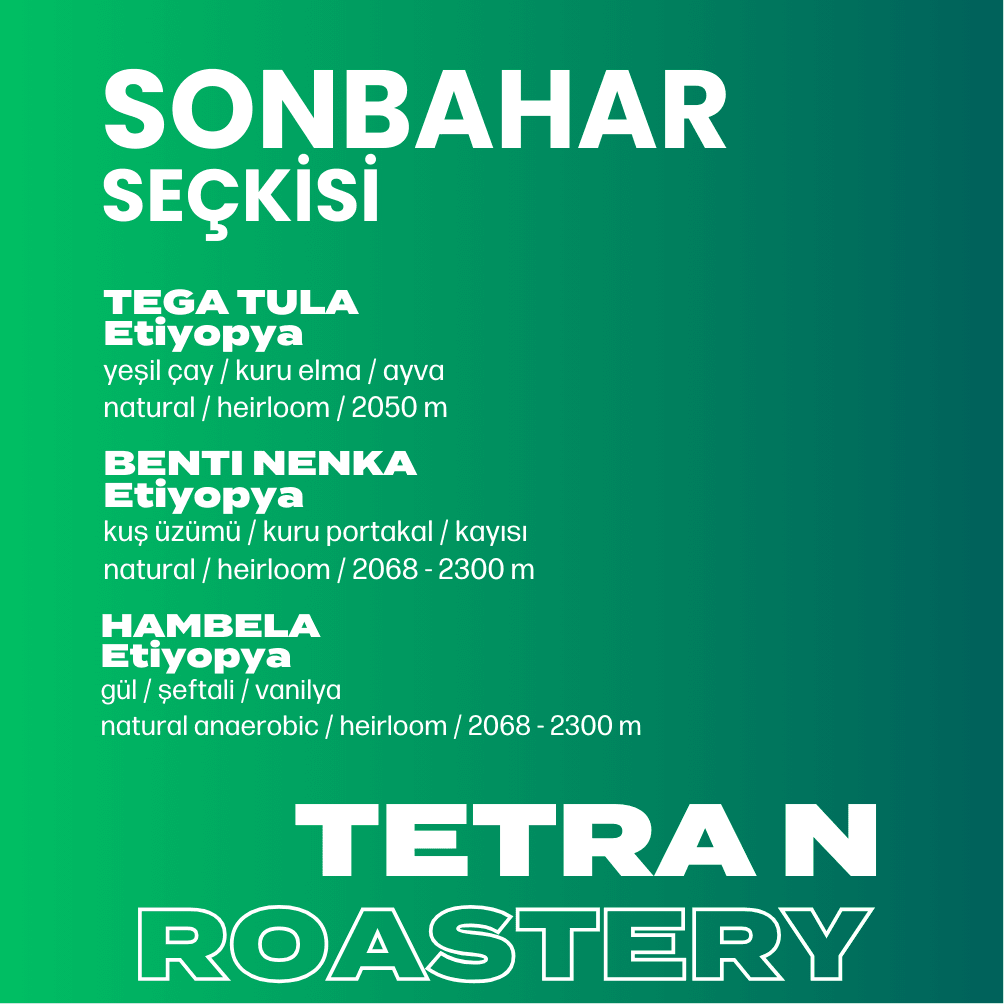 SONBAHAR SEÇKİSİ