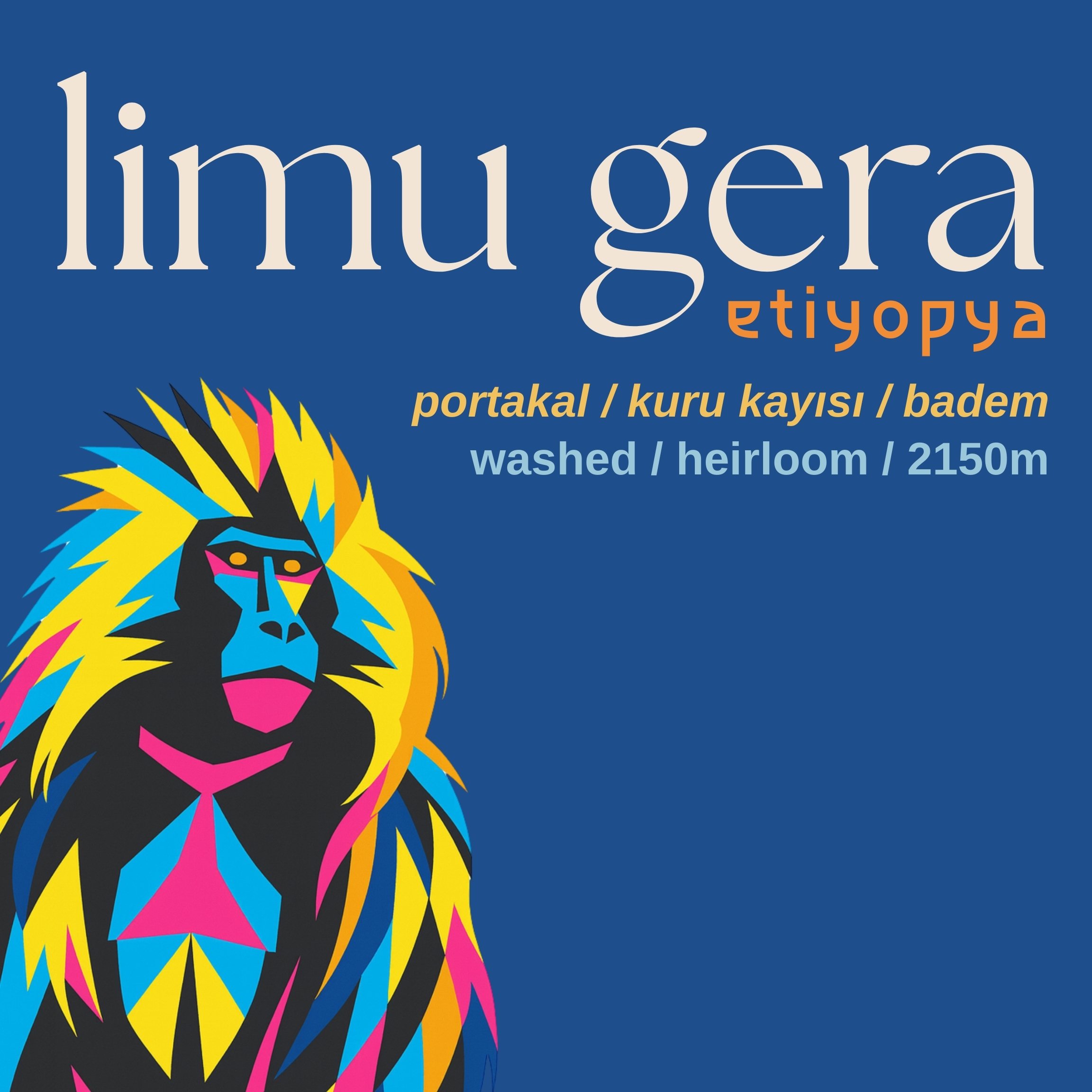 LIMU GERA