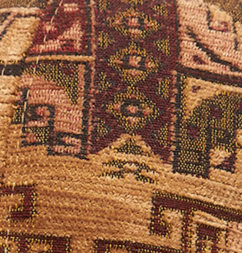Anatolian Camel