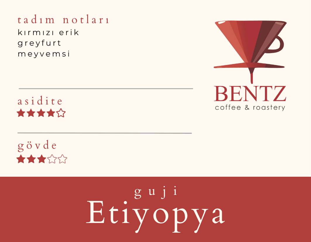 1 Kg Etiyopya-Guji