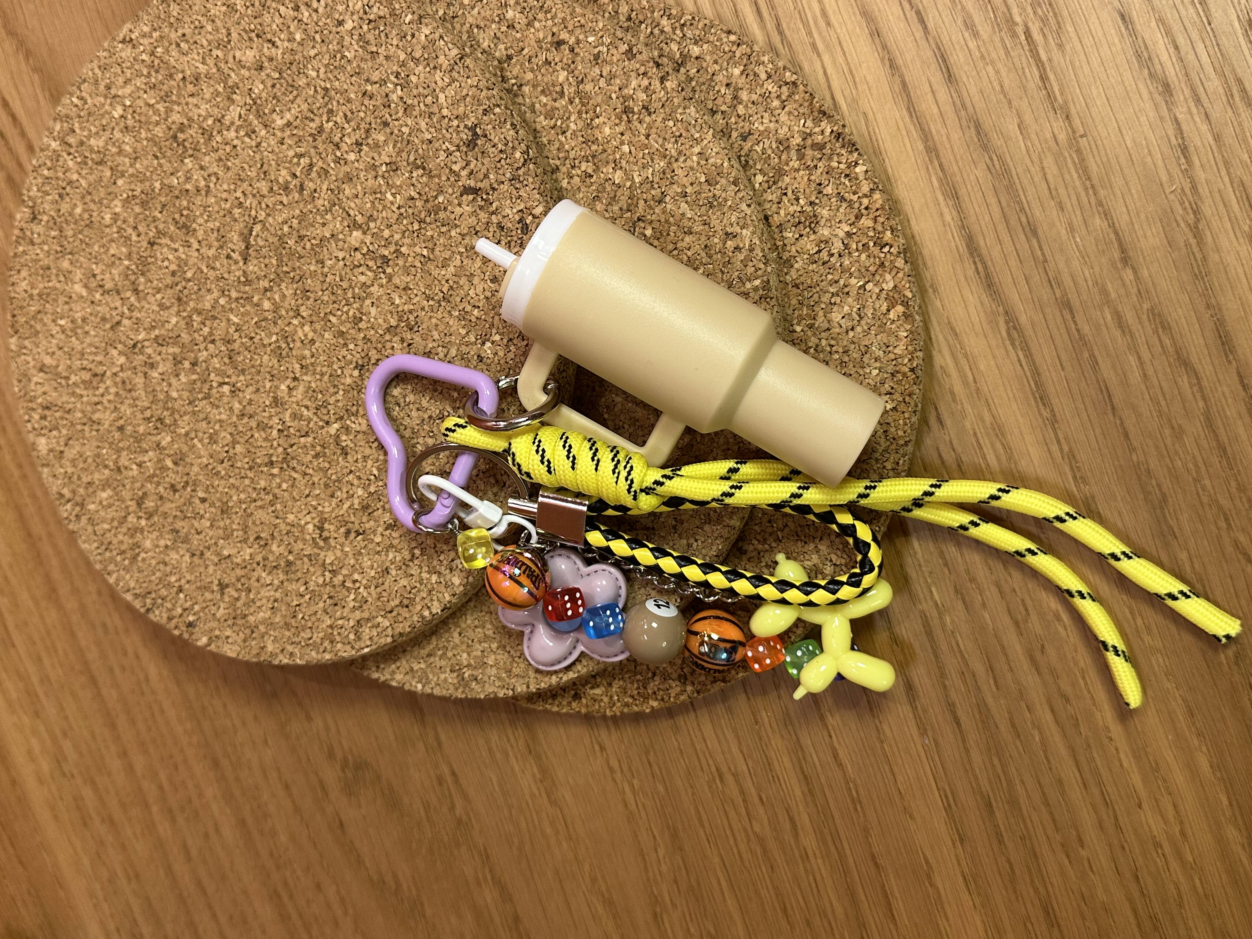 Renkli Stanley Charm