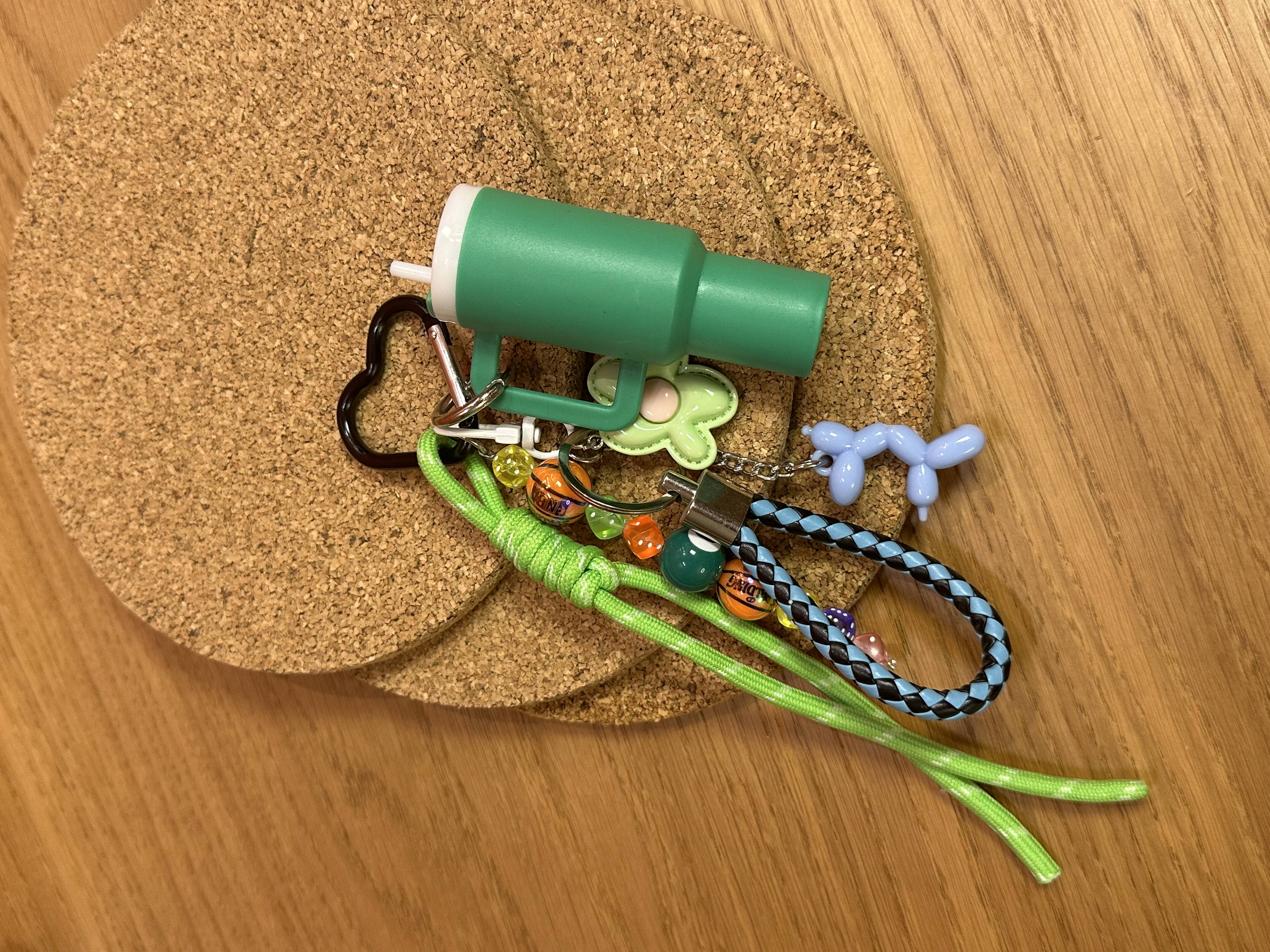 Renkli Stanley Charm