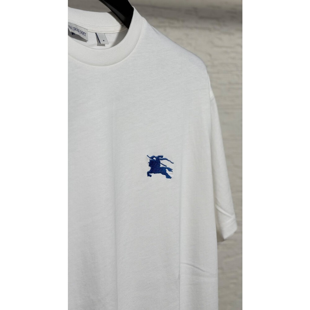 Nakış Logo Detaylı Erkek T-shirt