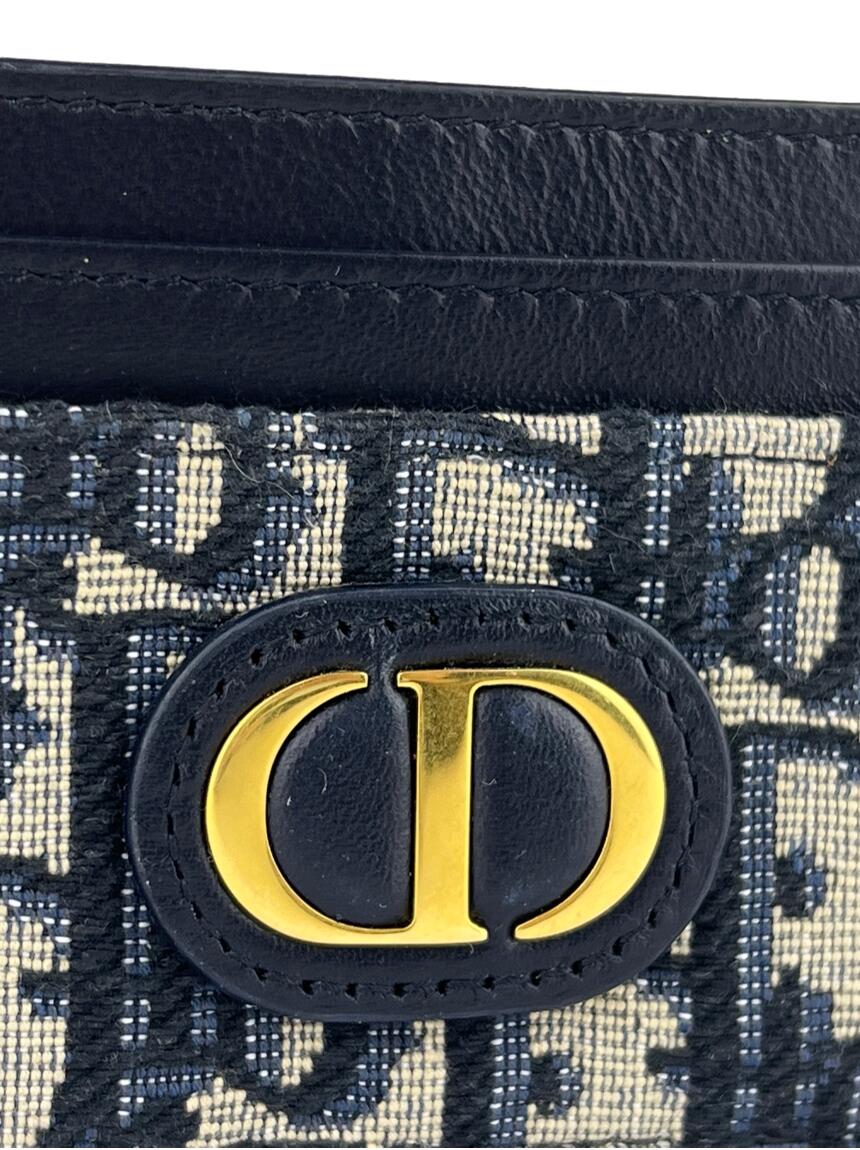 Mavi Monogram Desenli Deri Kartlık