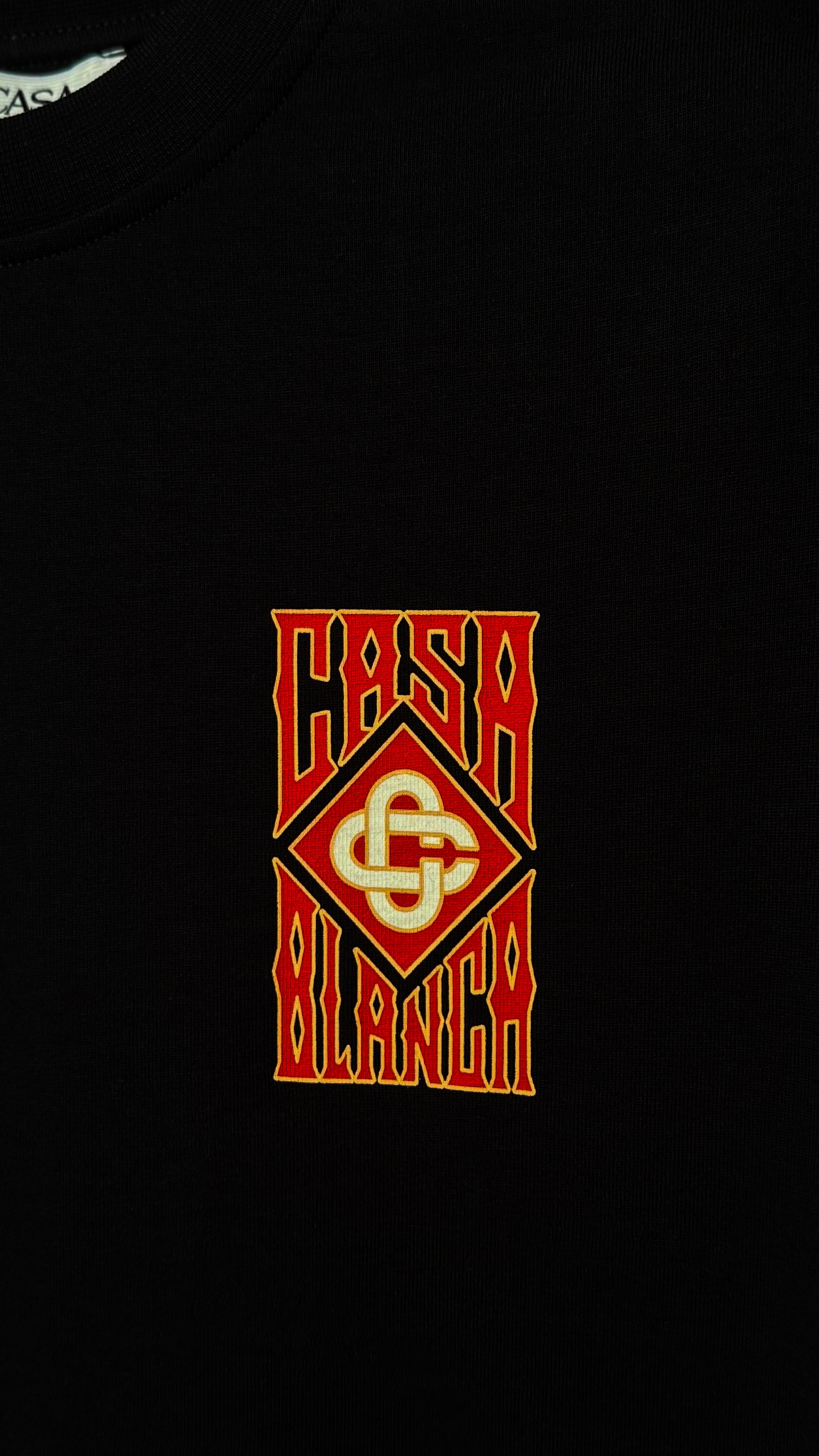 Ön Ve Arka Logo Detaylı Siyah Erkek T-shirt