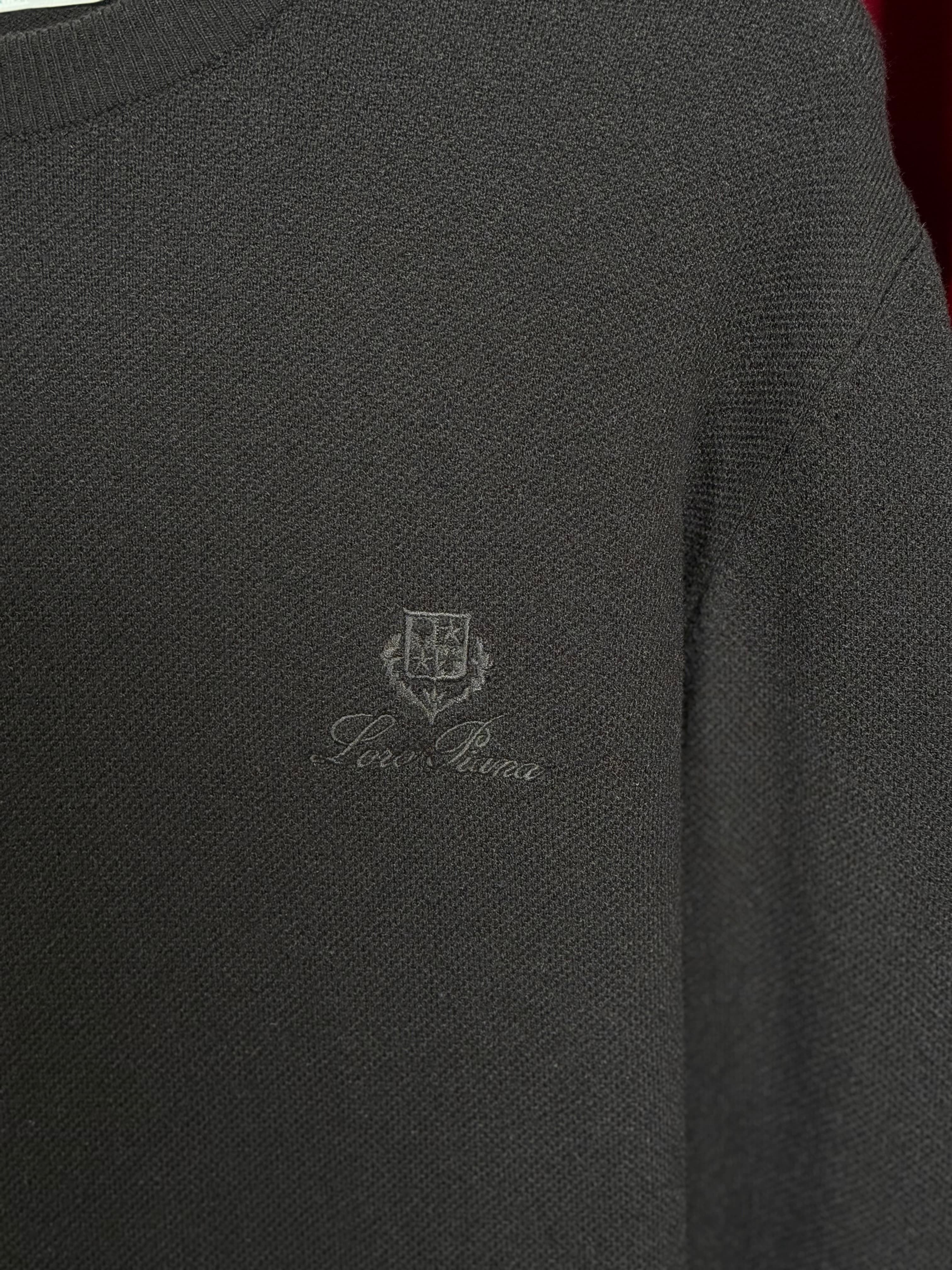 Nakış Logo İşlemeli Erkek Triko Kazak