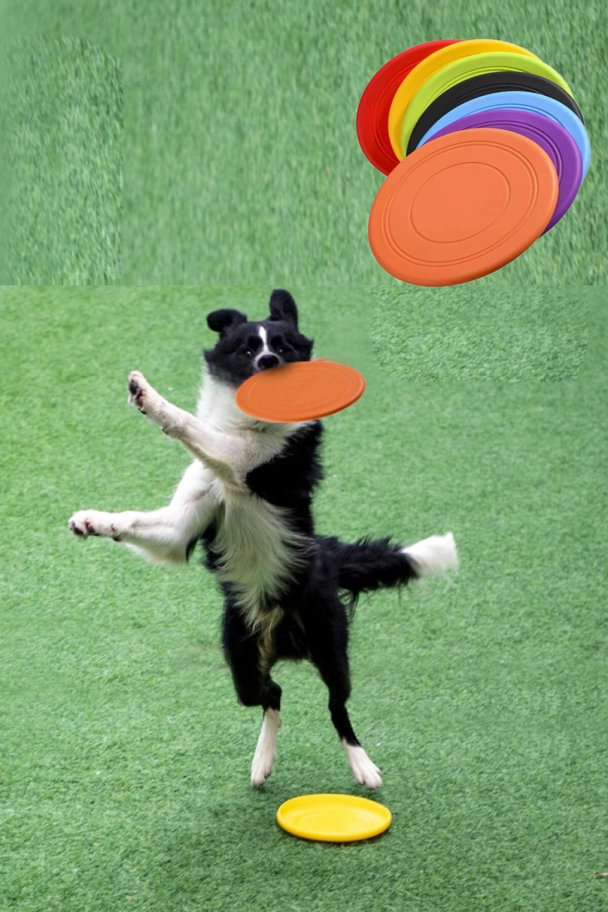 Dayanıklı Silikon Frizbi Köpek Oyuncağı Esnek ve Güvenli Yakalama Oyunu Diski