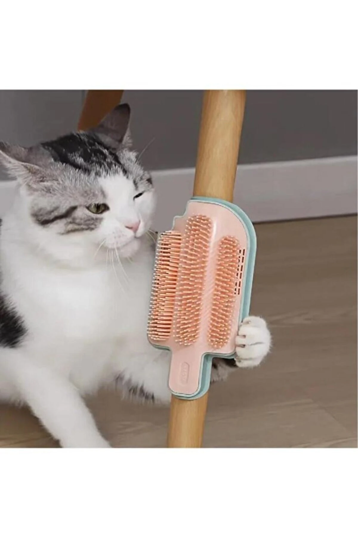 Sabitlenir Kedi Kaşıma Fırçası Kedi Nane Otu Hazneli Kaşınma Fırça Kedi Sürtünme Aparatı Tüy Toplama