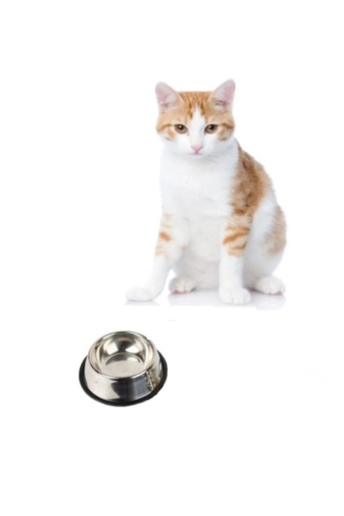 Paslanmaz Çelik Mama Ve Su Kabı, Alt Taban 16 Cm (250 ML-8 OZ)