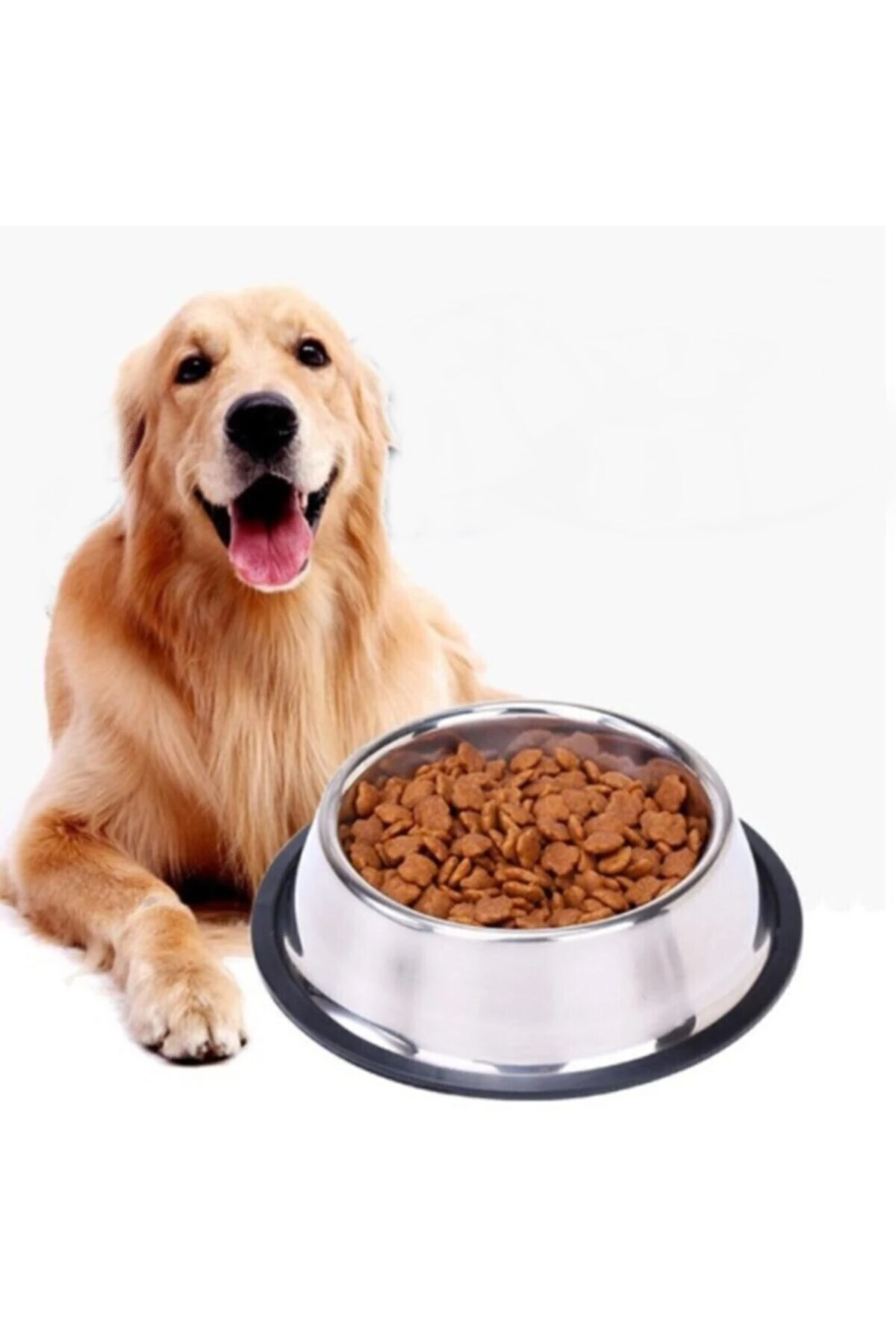 Paslanmaz Çelik Mama Ve Su Kabı, Alt Taban 22 Cm (500 ML-16 OZ)