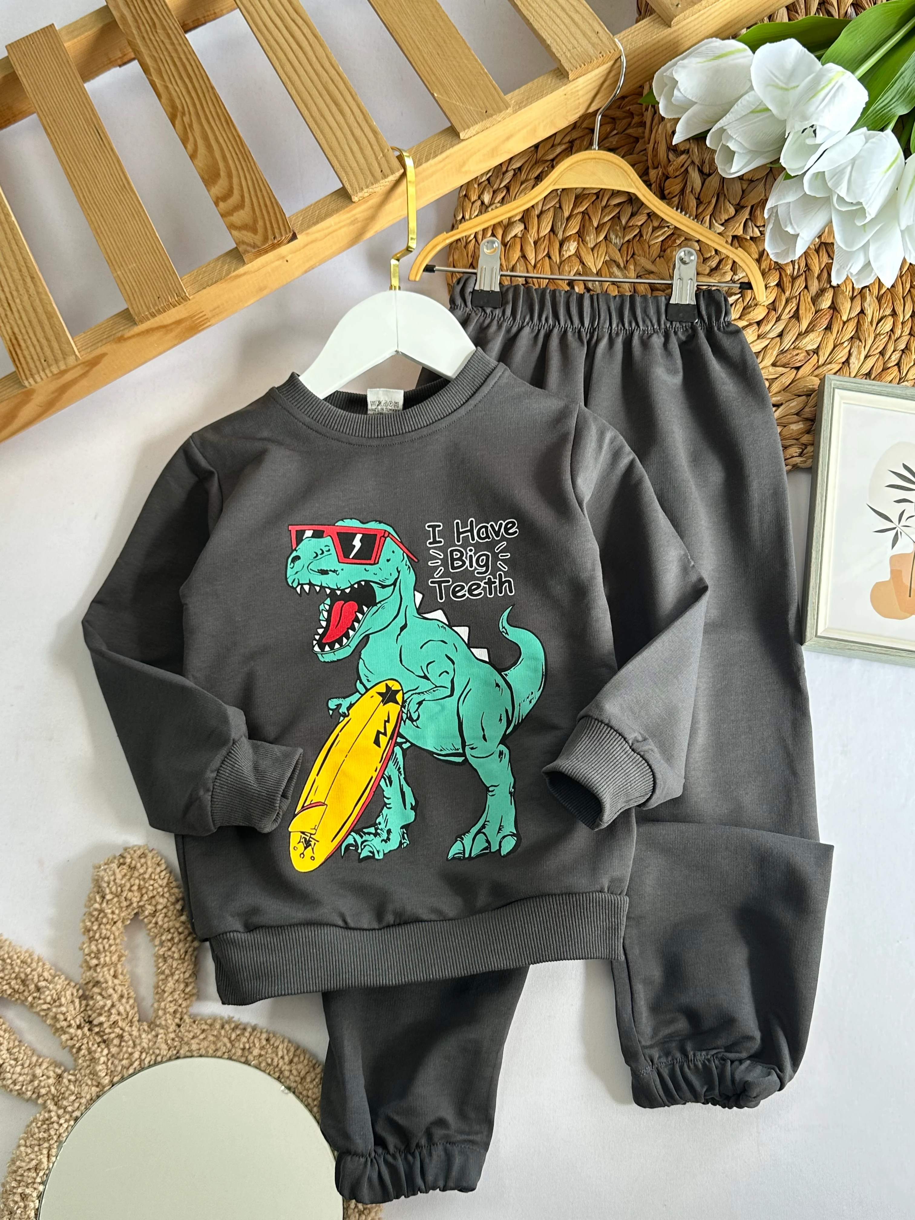 Erkek Çocuk Antrasit Dinozor Baskılı Takım 