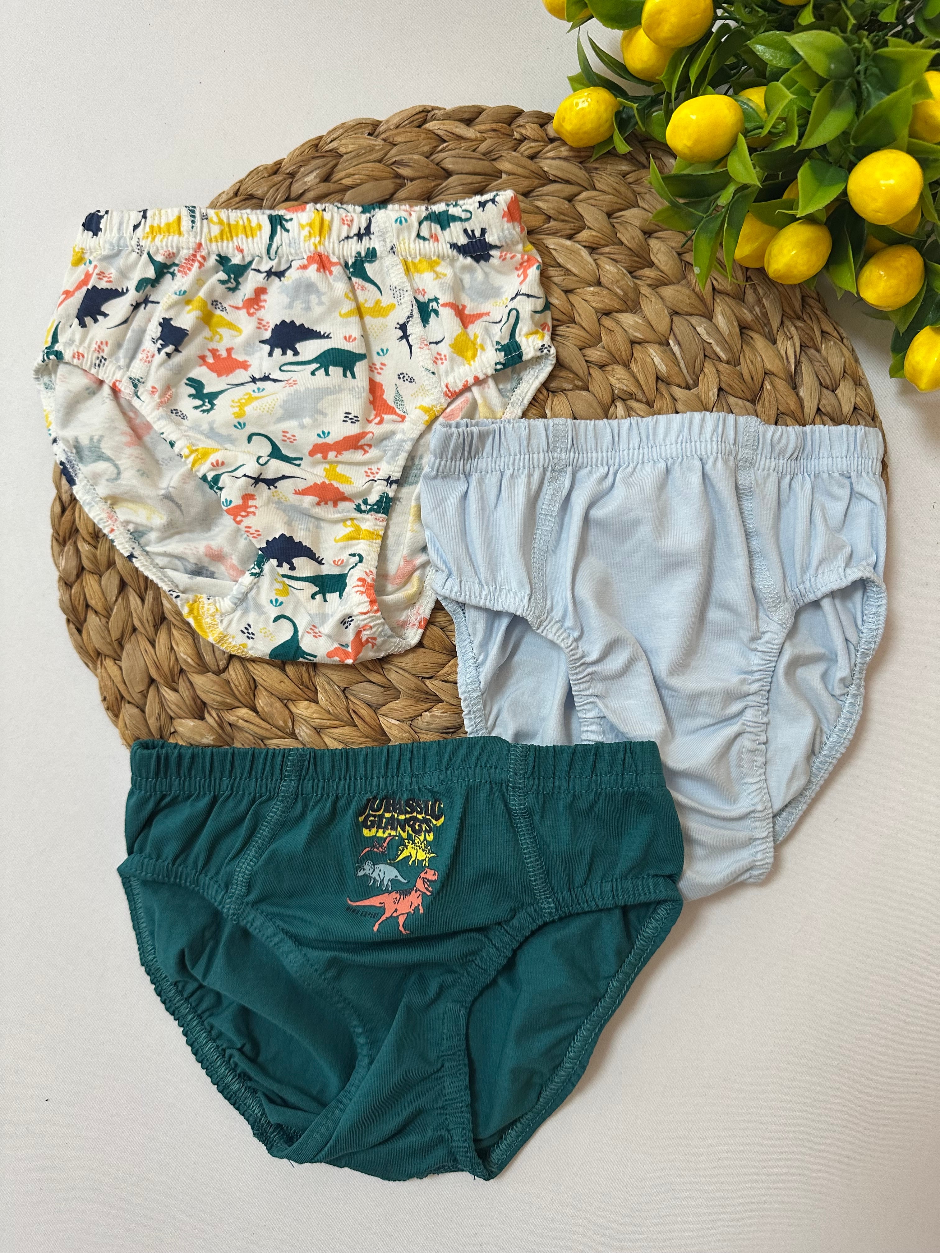 Erkek Çocuk Koyu Yeşil Dinozorlu 3’lü Slip Külot Set
