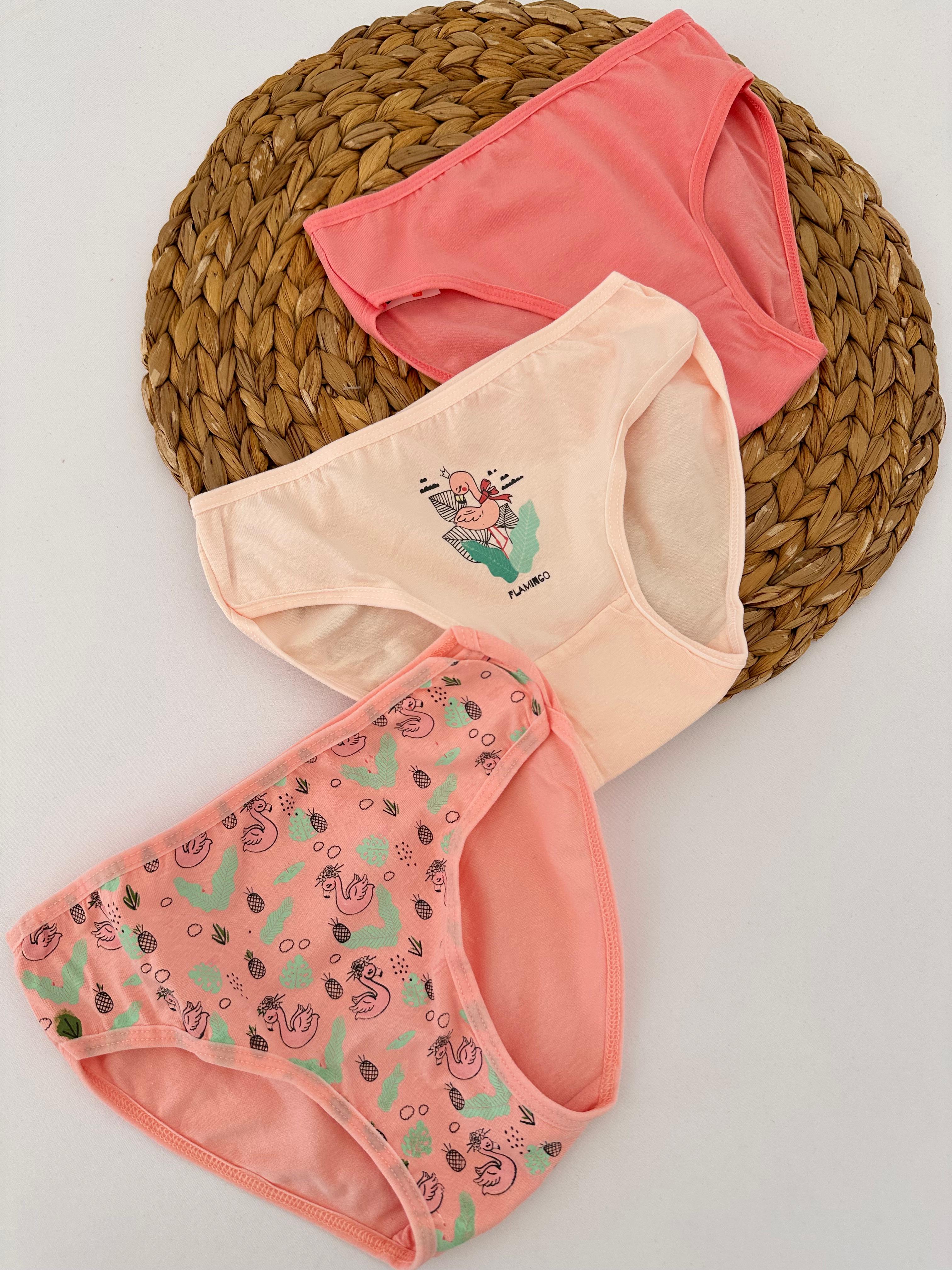 Kız Çocuk Flamingo Desenli 3’lü Slip Külot