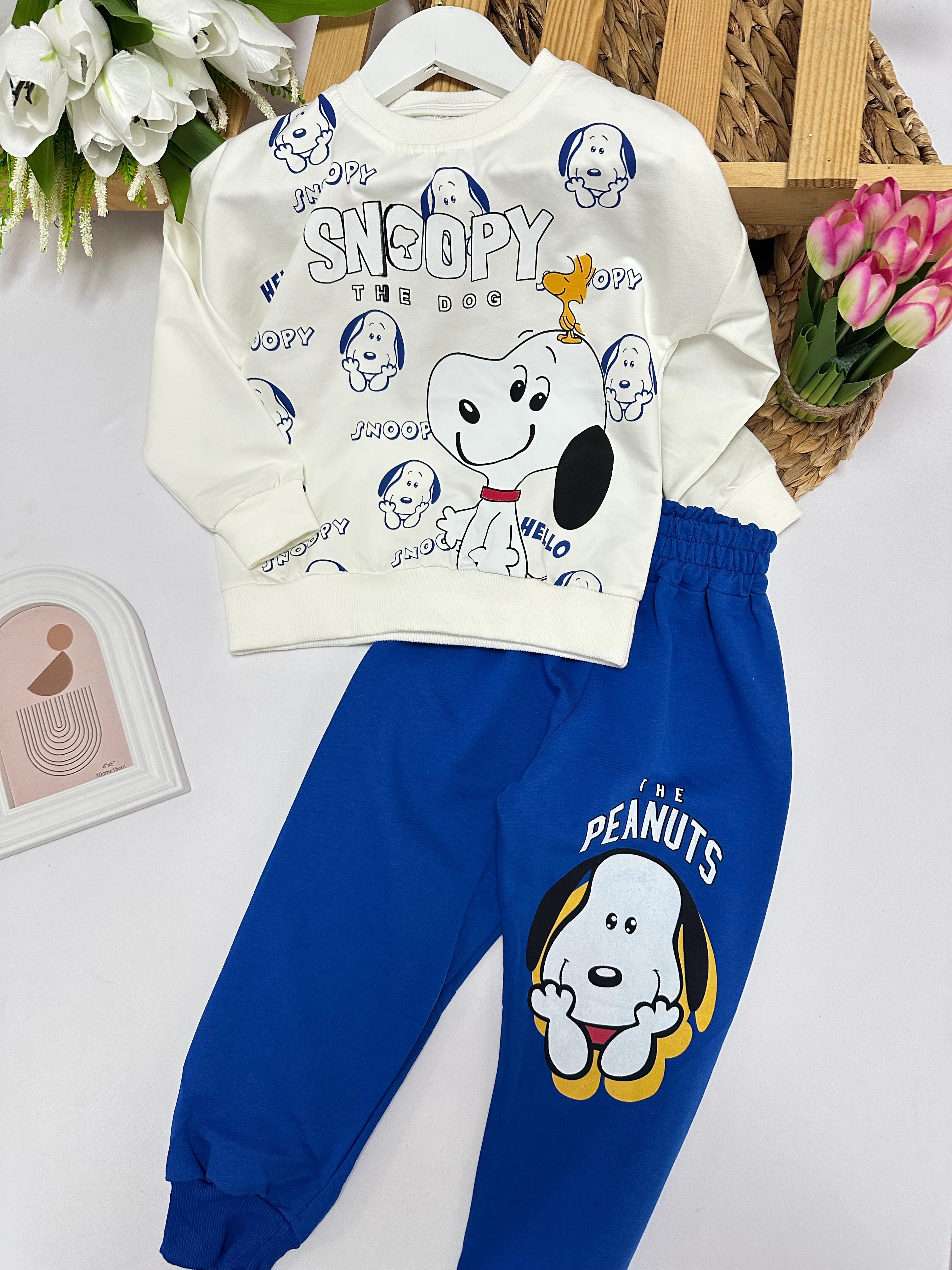 Erkek Çocuk Mavi Snoopy Takım