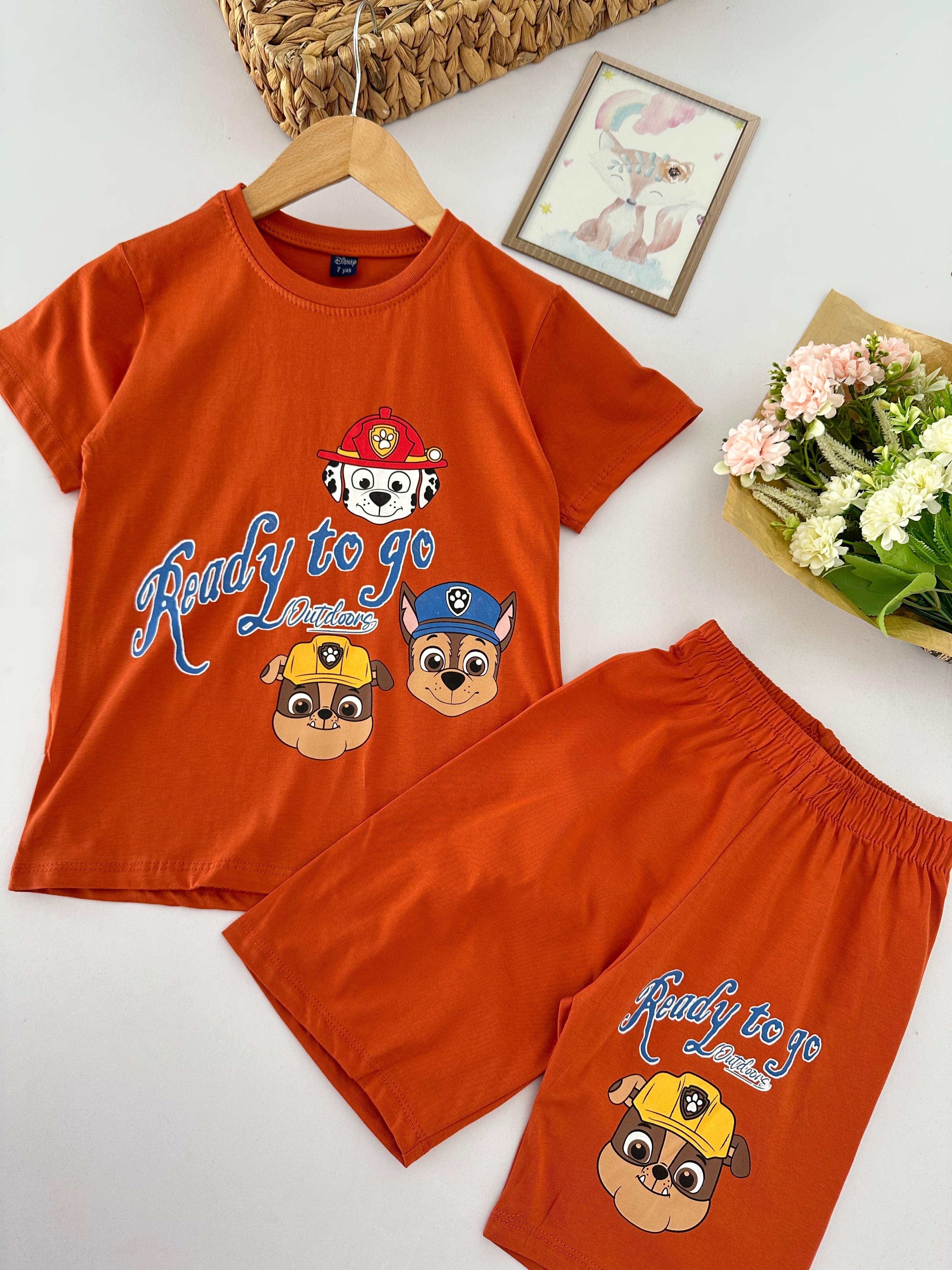 Erkek Çocuk Kiremit Paw Patrol Takım