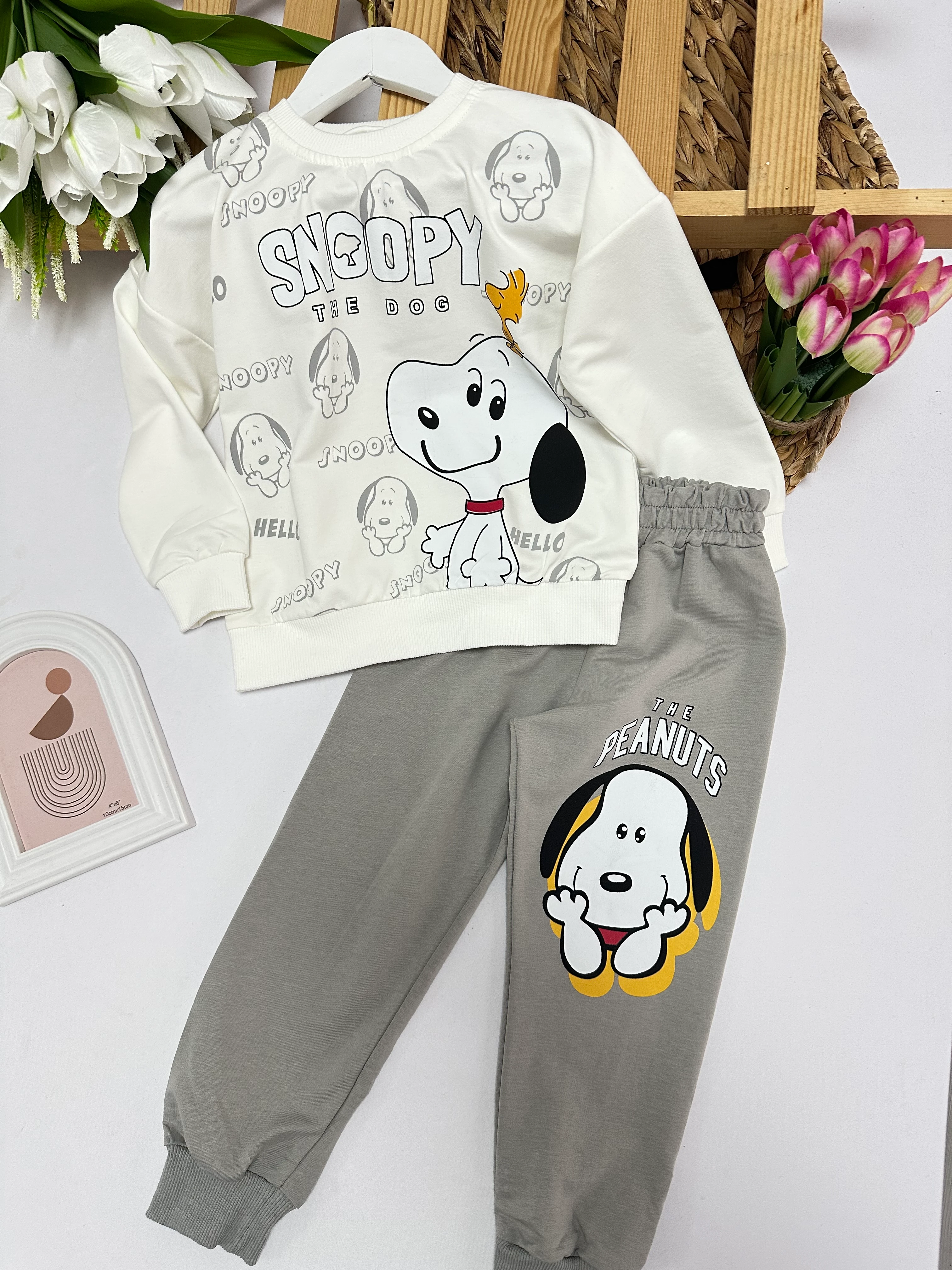 Erkek Çocuk Gri Snoopy Takım