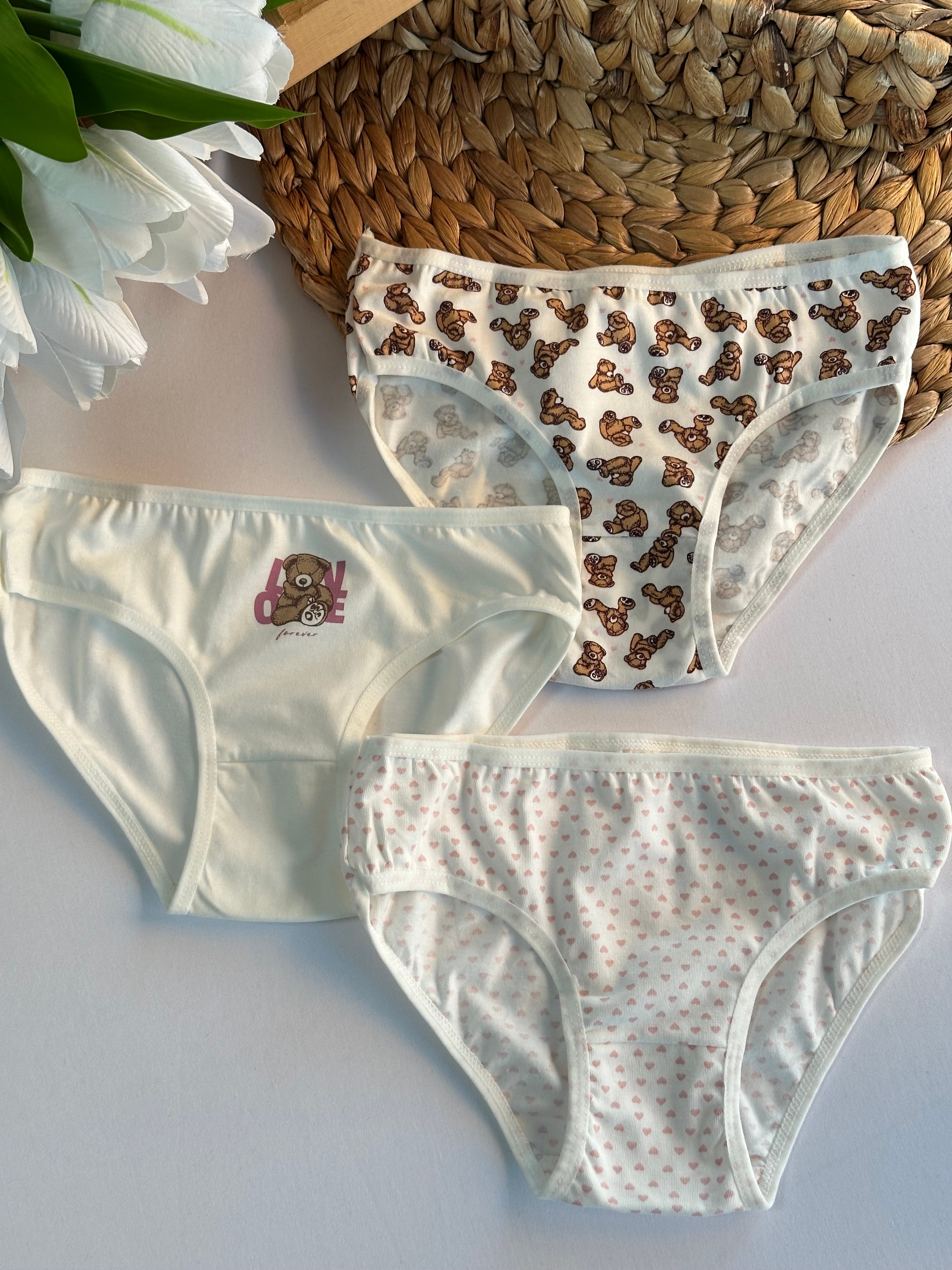 Kız Çocuk Ayıcık Desenli 3’lü Slip Külot