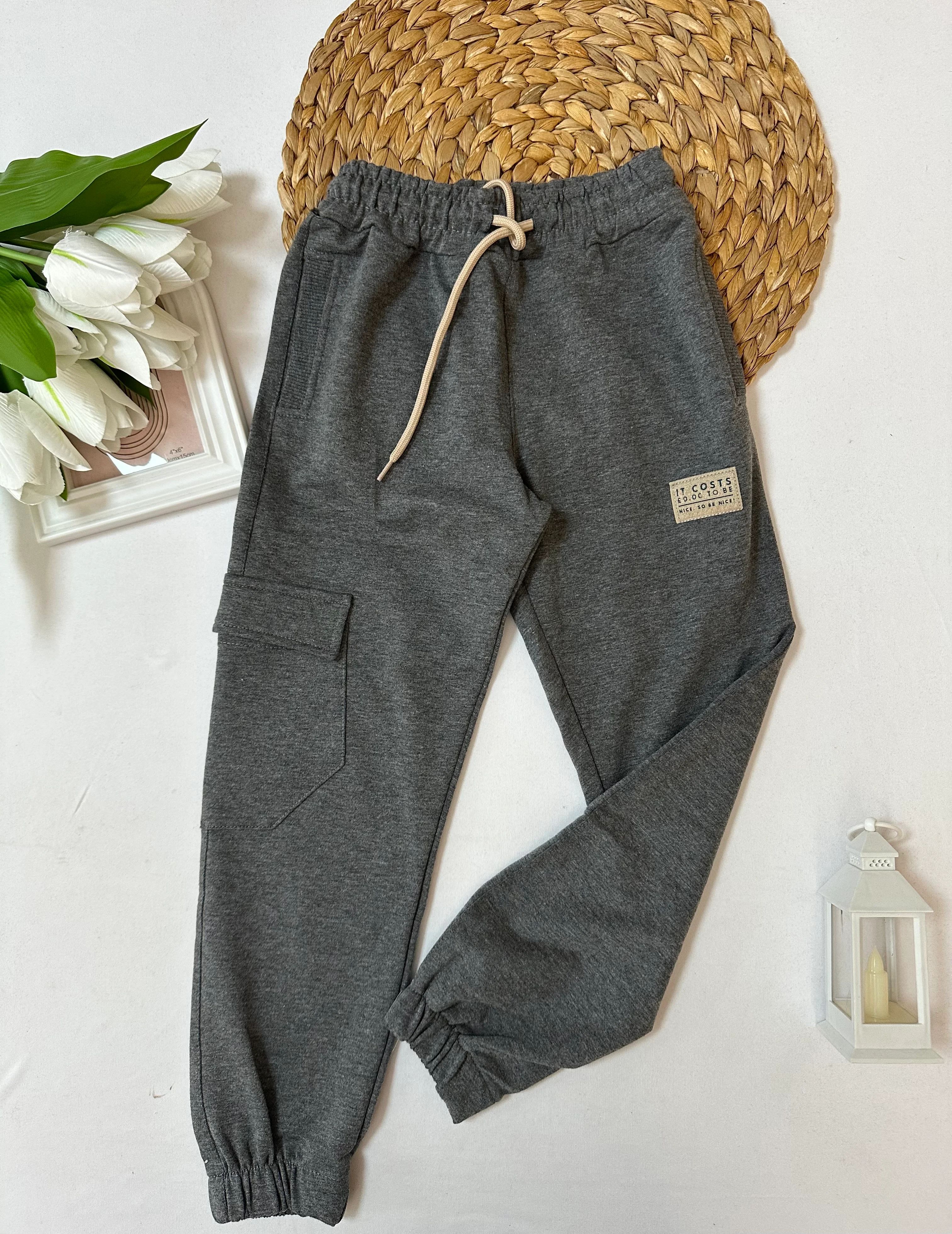 Antrasit Tek kargo Cepli İT Cost Eşofman Altı