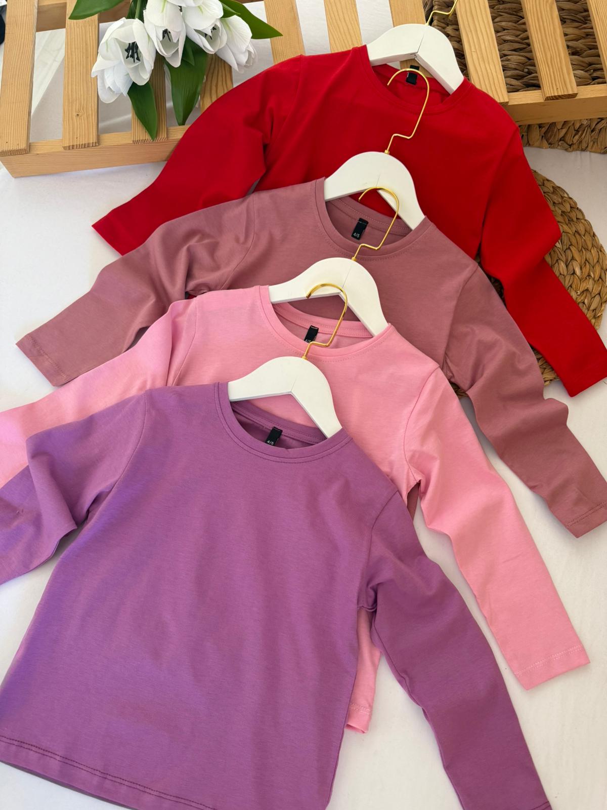 Kız Çocuk 4'lü Uzun Kollu Badi 