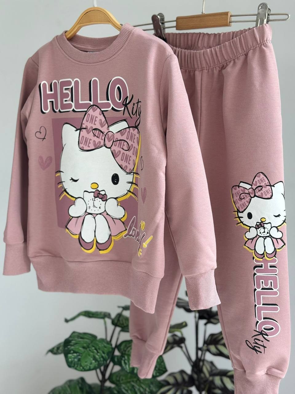 Kız Çocuk Gül Kurusu Hello Kitty Baskılı 2'li Takım