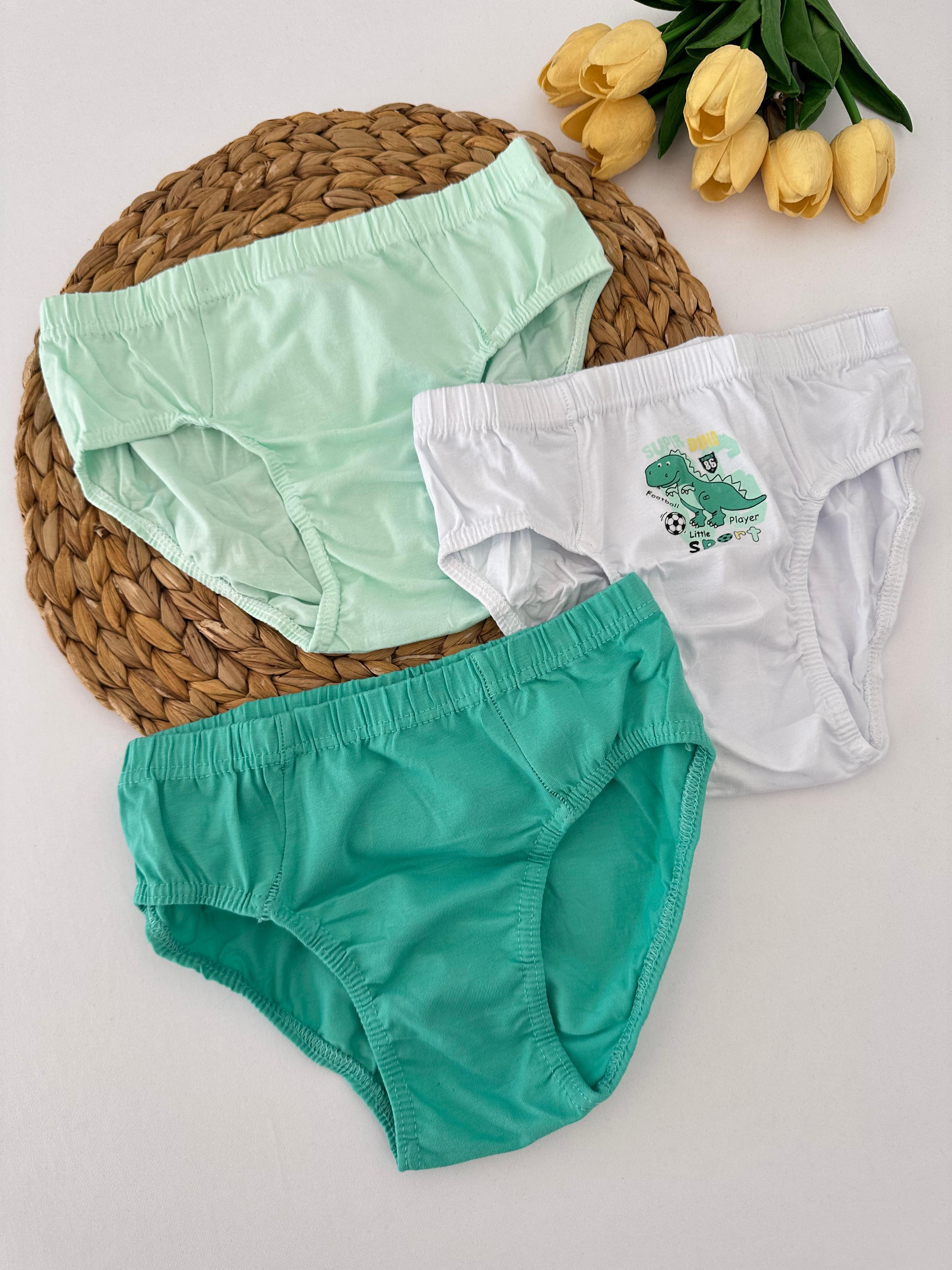 Erkek Çocuk Yeşil Dinozorlu 3’lü Slip Külot Set