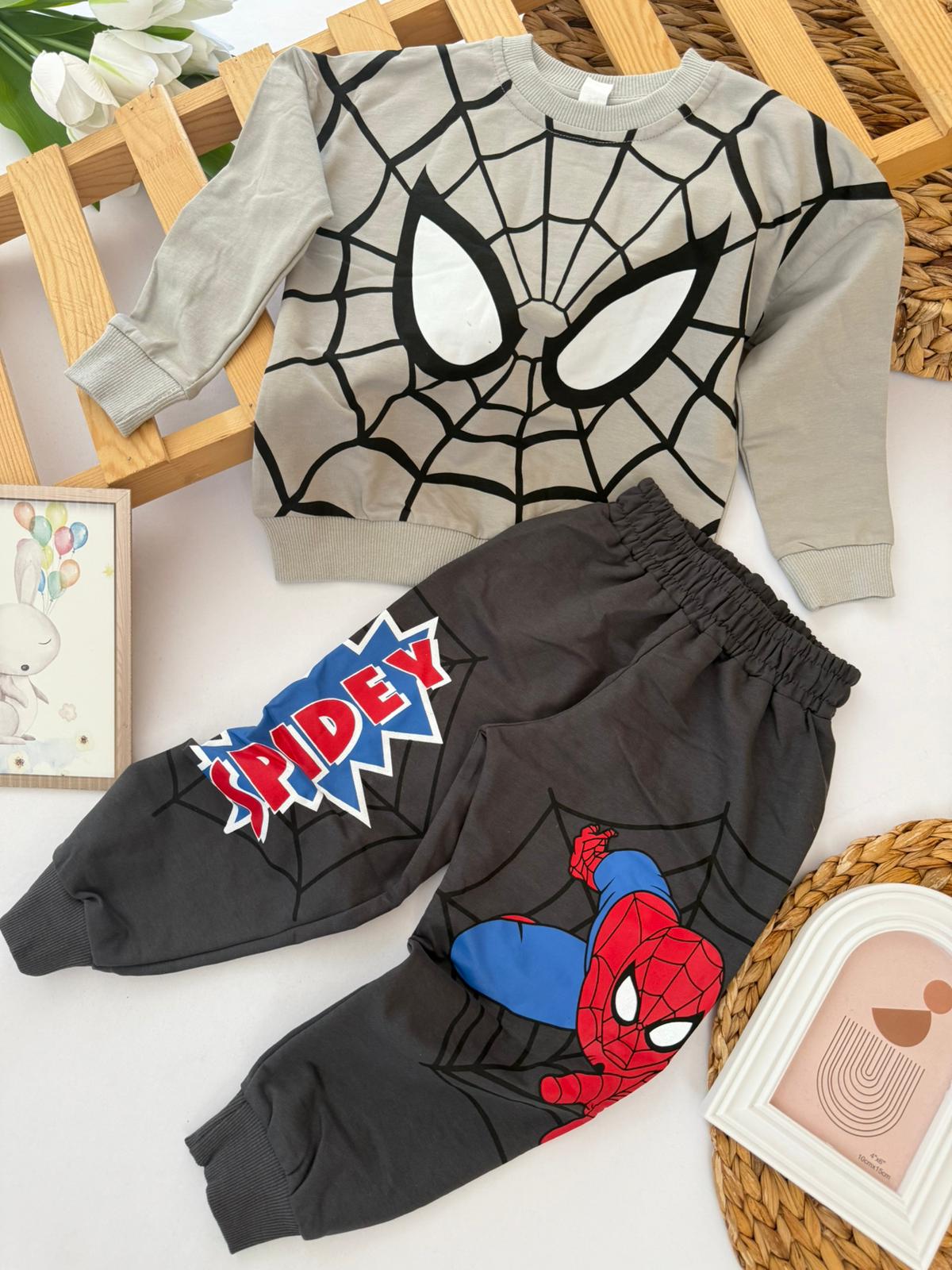 Erkek Çocuk Gri Spiderman Takım