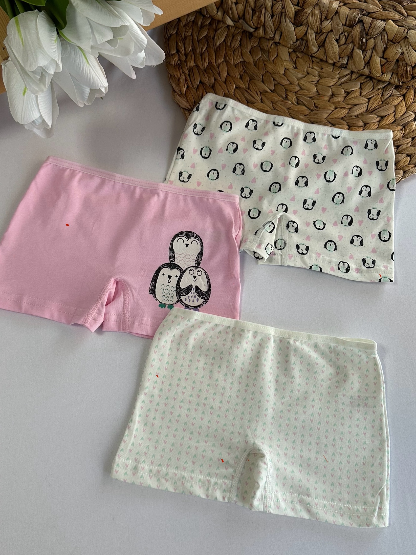 Kız Çocuk Penguen Desenli 3’lü Boxer Set