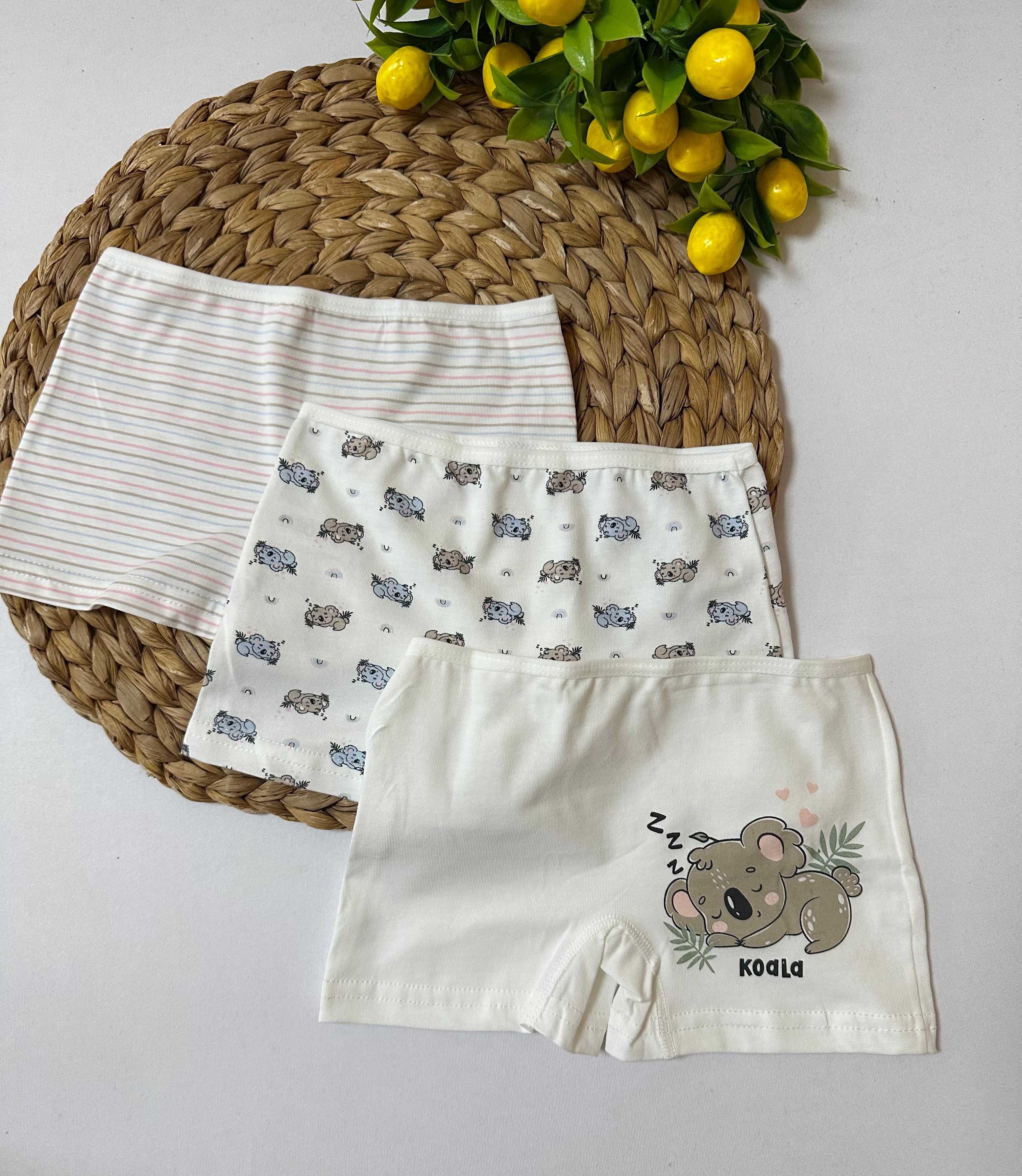 Kız Çocuk Koala Desenli 3’lü Boxer Set