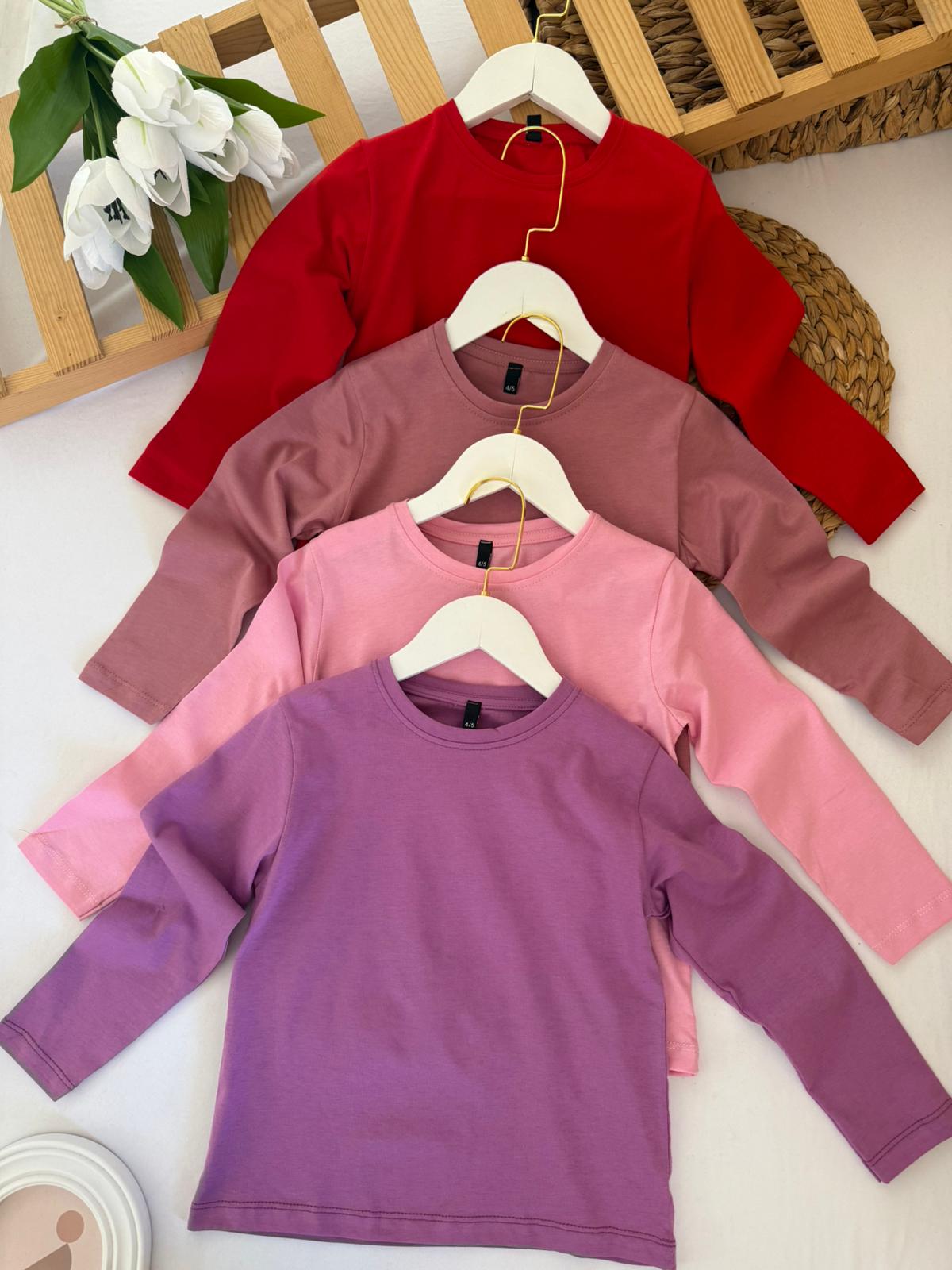 Kız Çocuk 4'lü Uzun Kollu Badi 