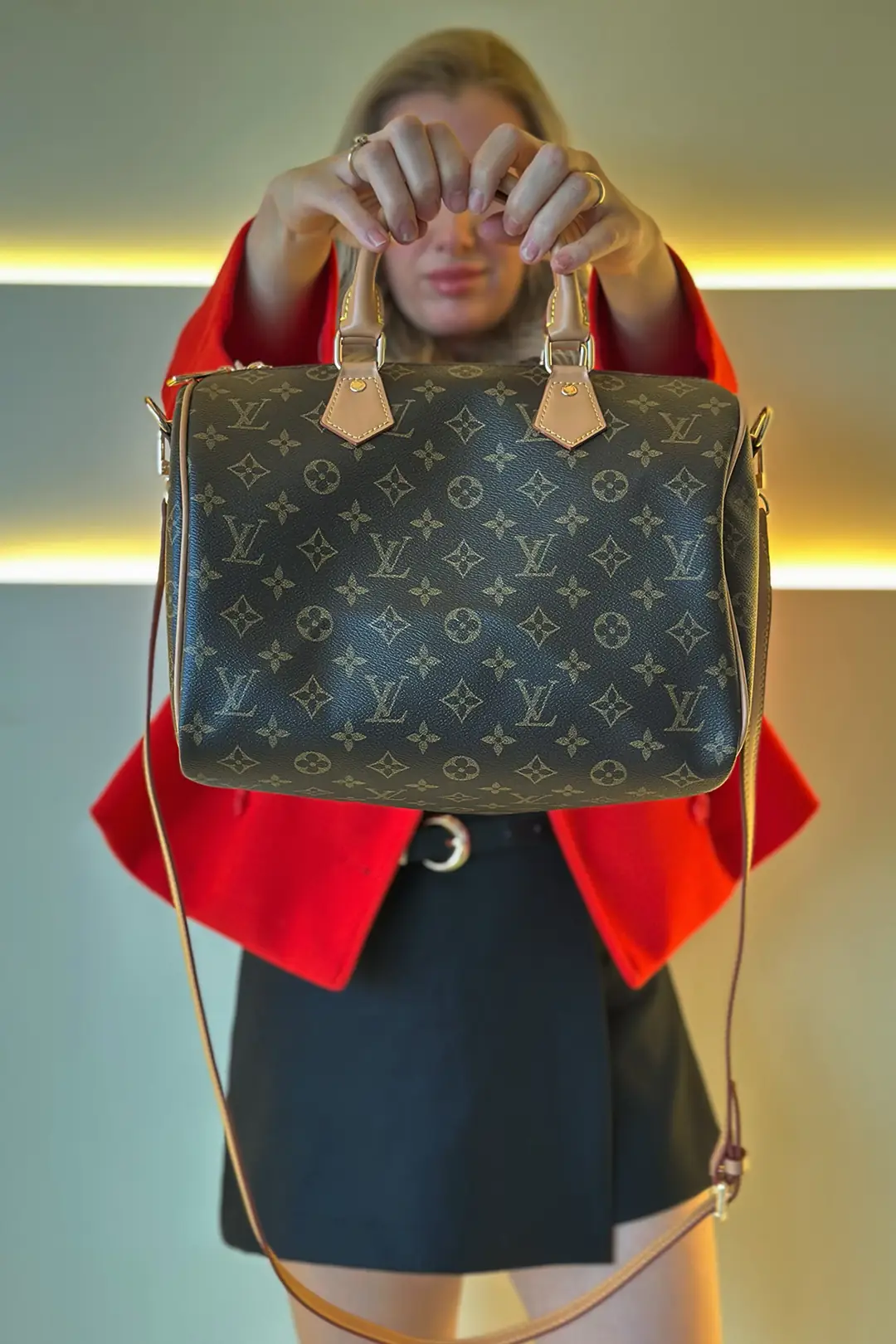 LV - Speedy KLASİK Detay Çanta