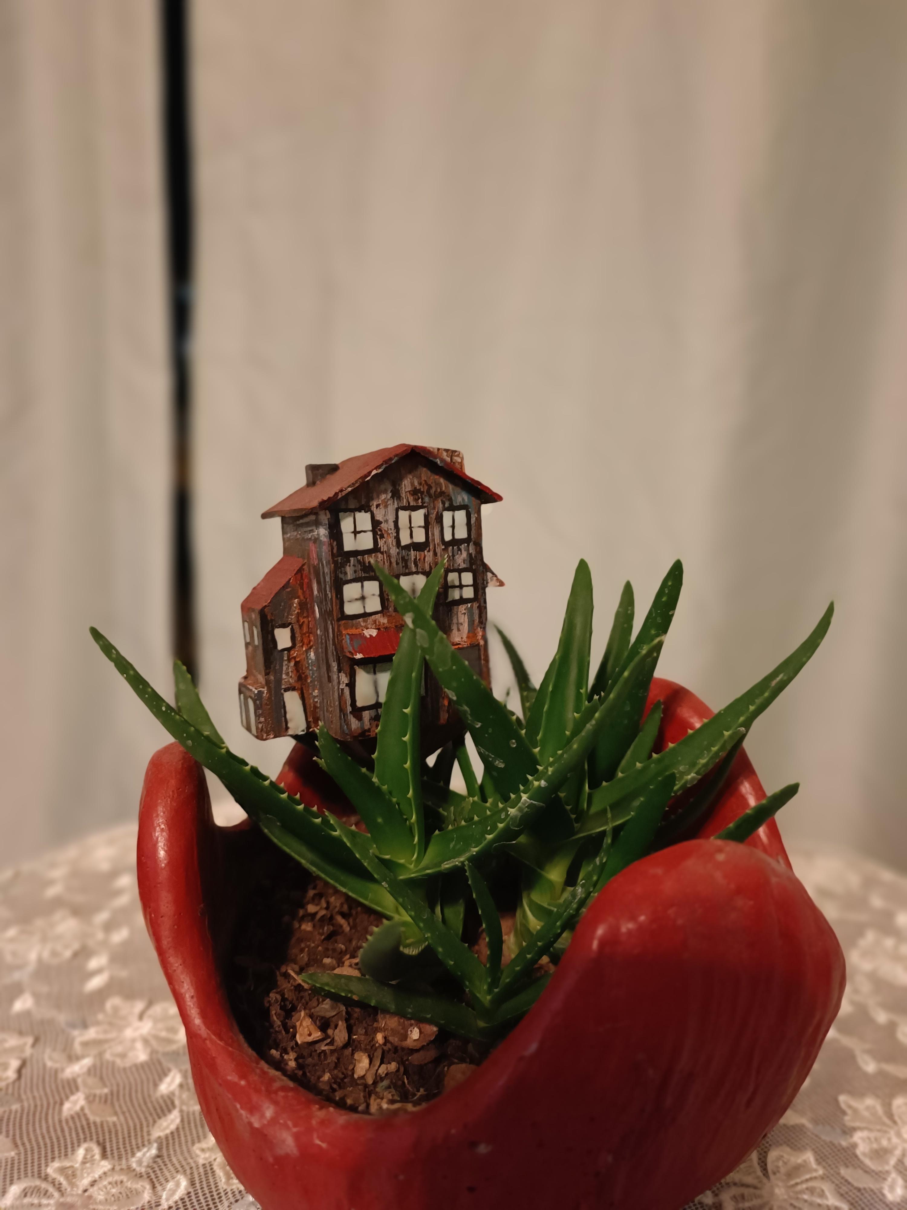 Ahşap Saksı Süsü 7,5-17cm 
