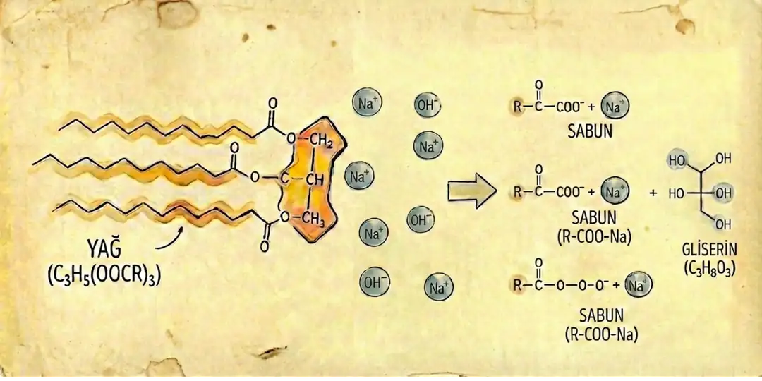 Sabunlaşma Reaksiyonu