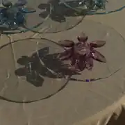 أرجواني