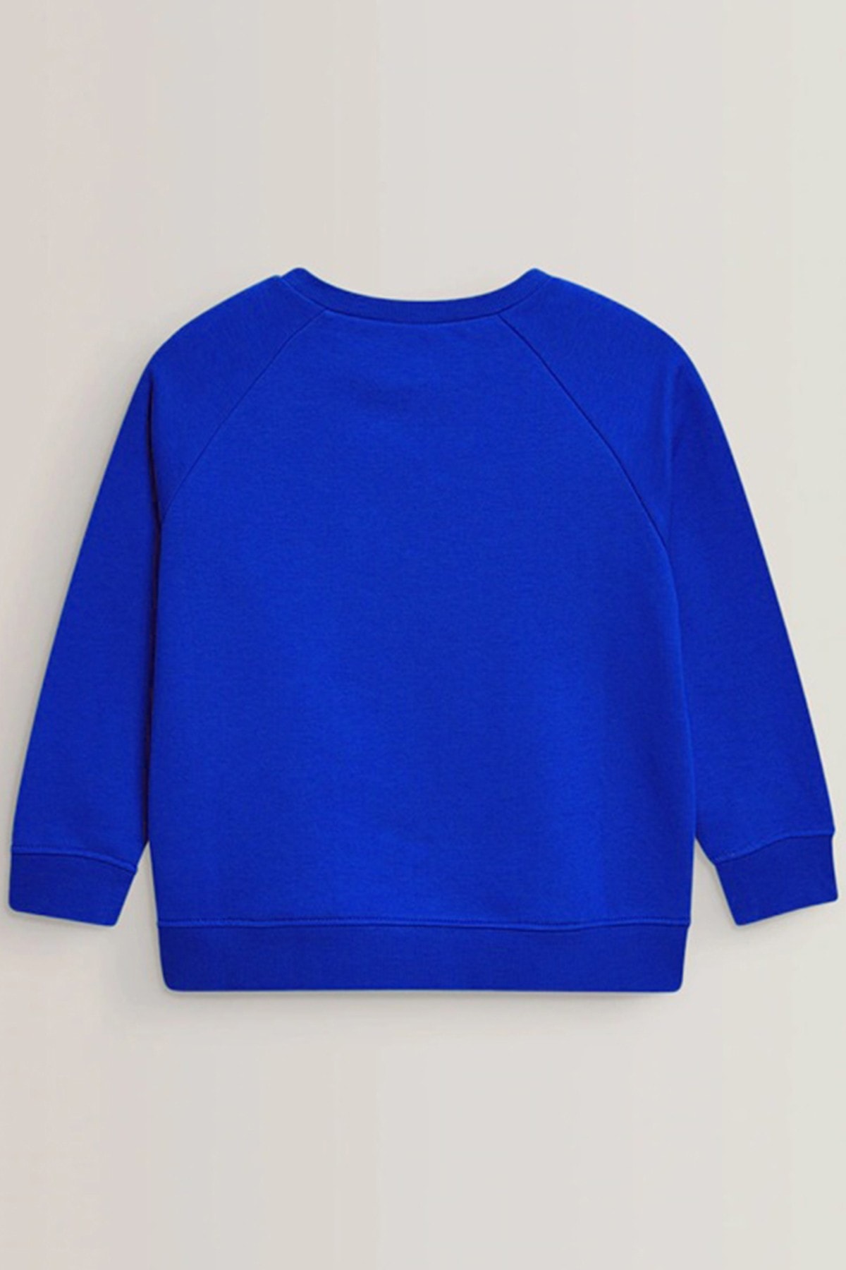 Basic Kalın Bisiklet Yaka 3 İplik Şardonsuz Sweatshirt