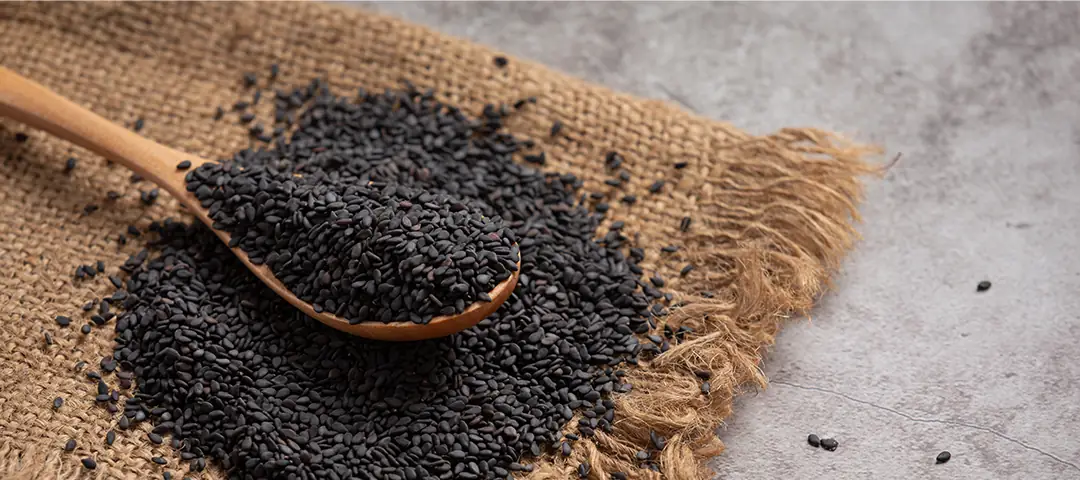 Haşhaş Hakkında Her Şey