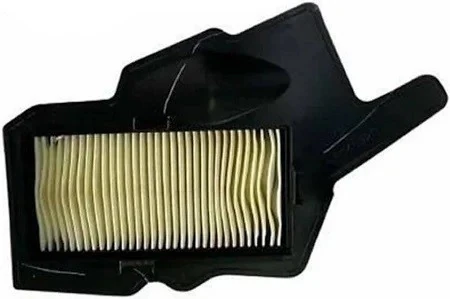 ORJİNAL HAVA FİLTRESİ RAİDER