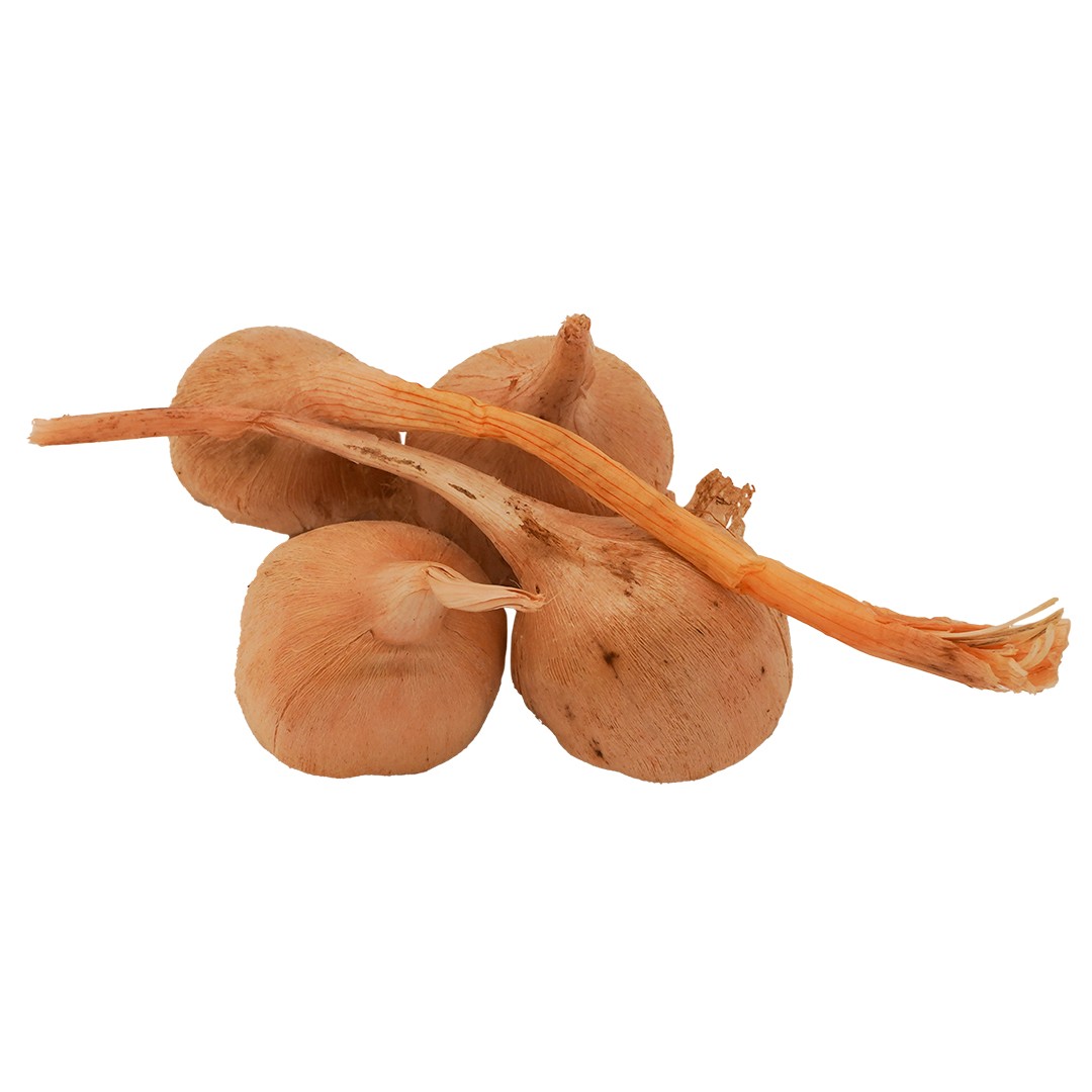 Safran Soğanı 1kg