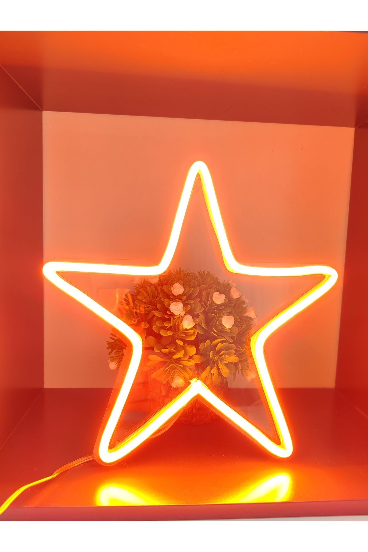 Yıldız Neon Led