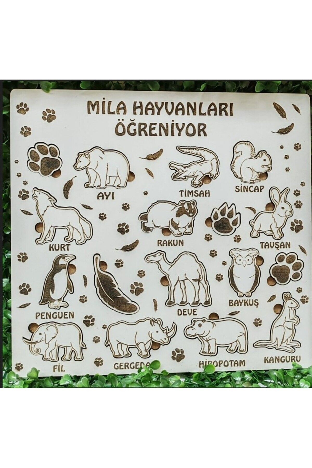 Eğitici Ahşap Çocuk Oyuncağı