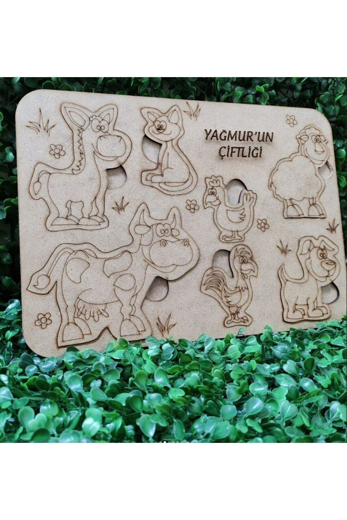 Eğitici Ahşap Çocuk Oyuncağı