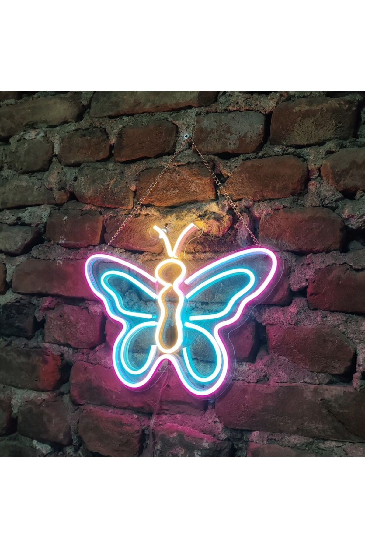 Kelebek neon led tabela