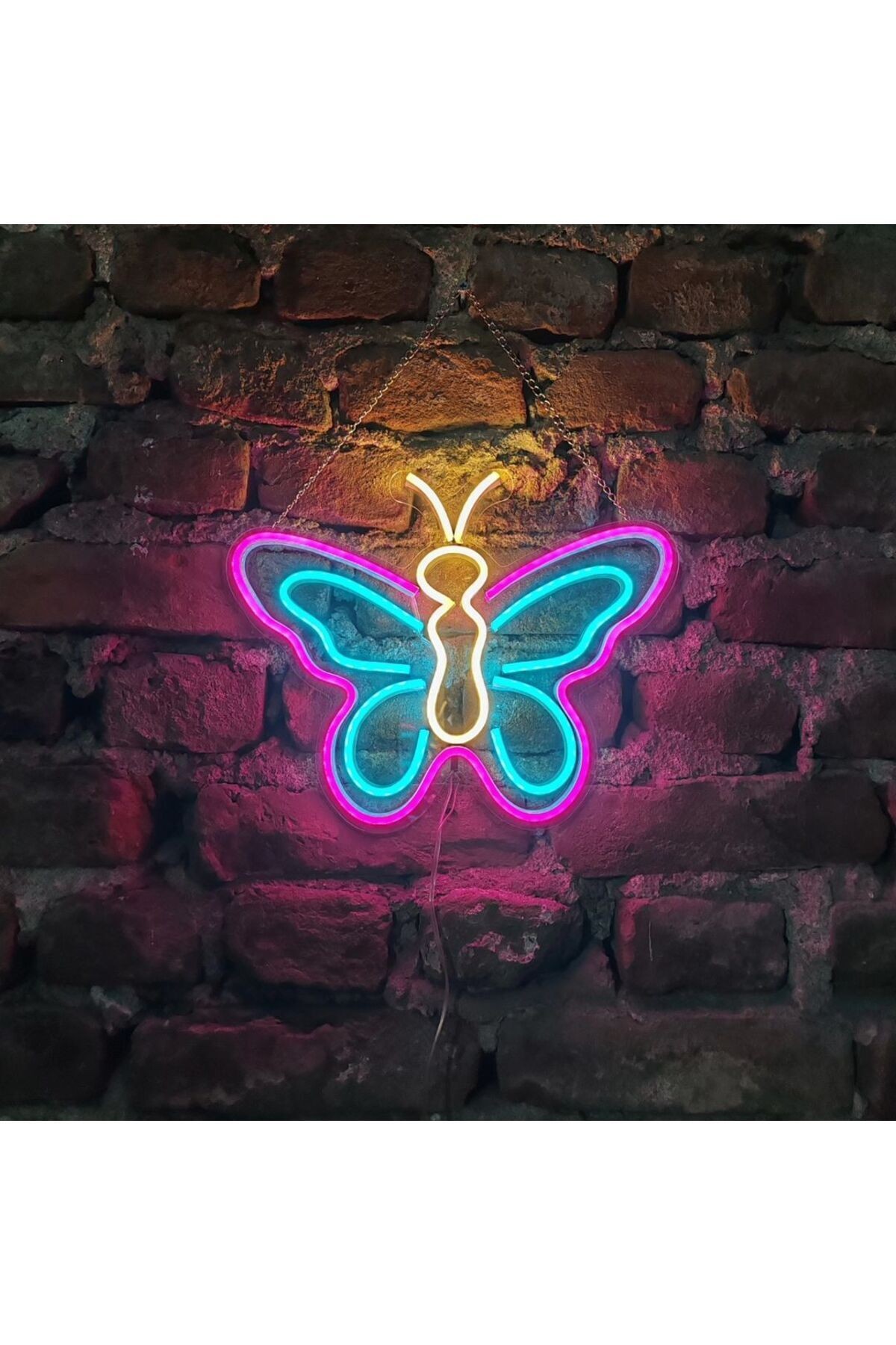 Kelebek neon led tabela