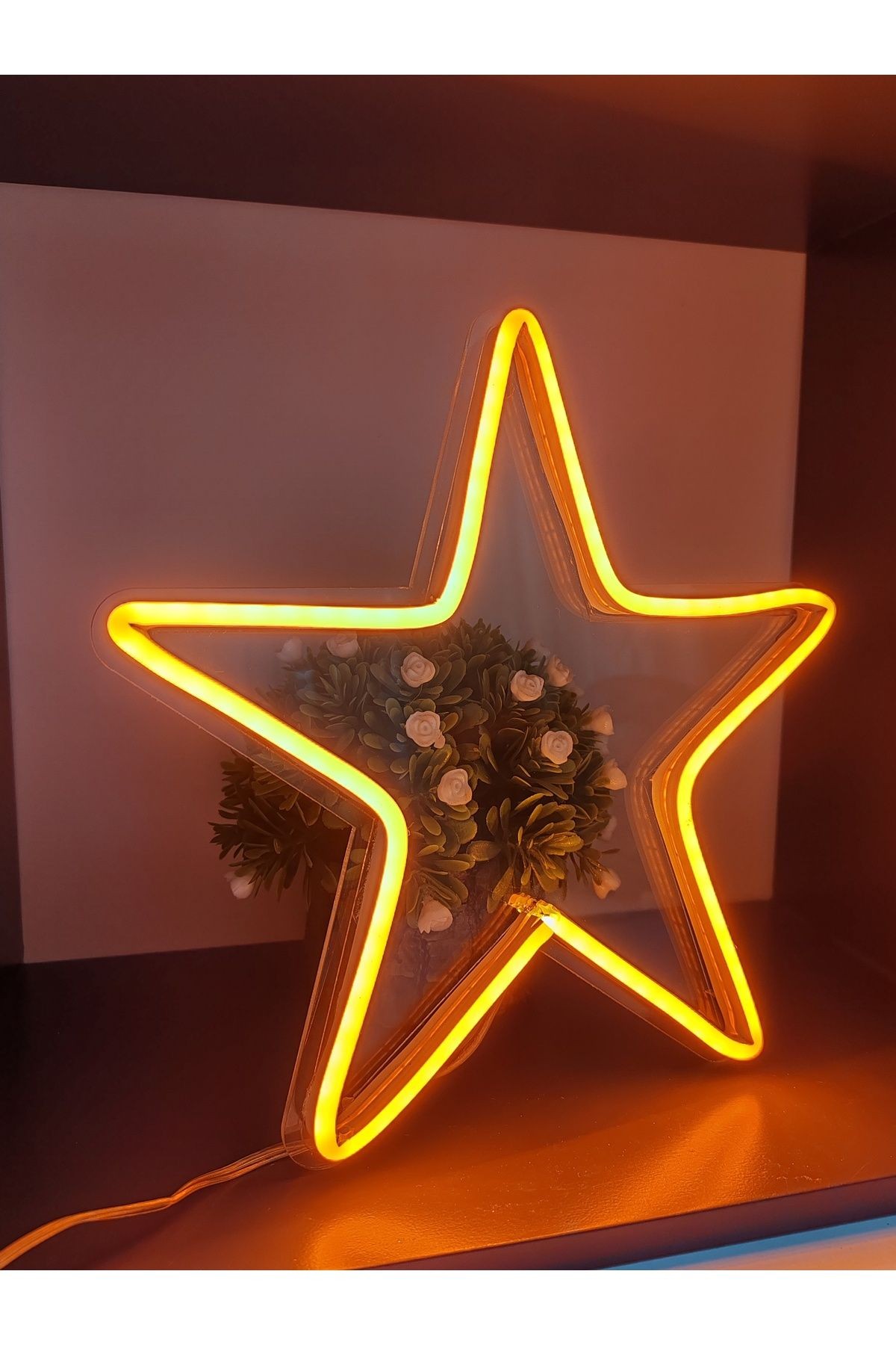 Yıldız Neon Led