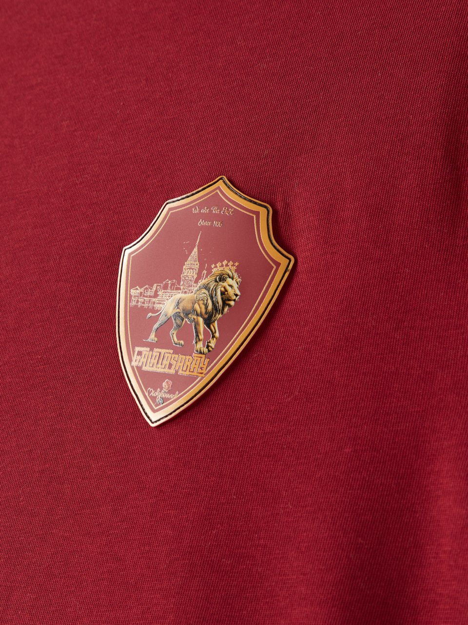 Galatasaray Basic T-Shirt
