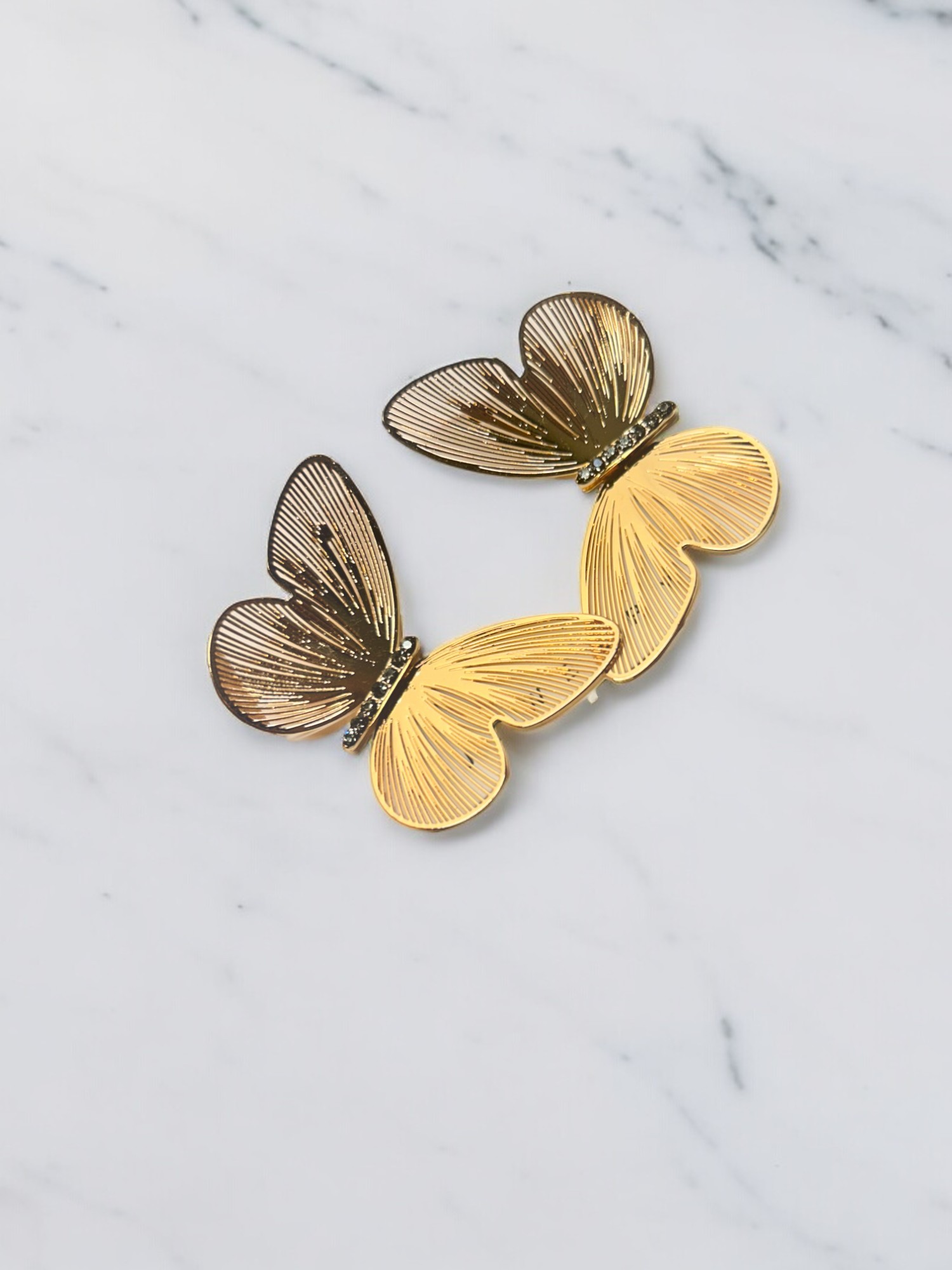 Big Butterfly