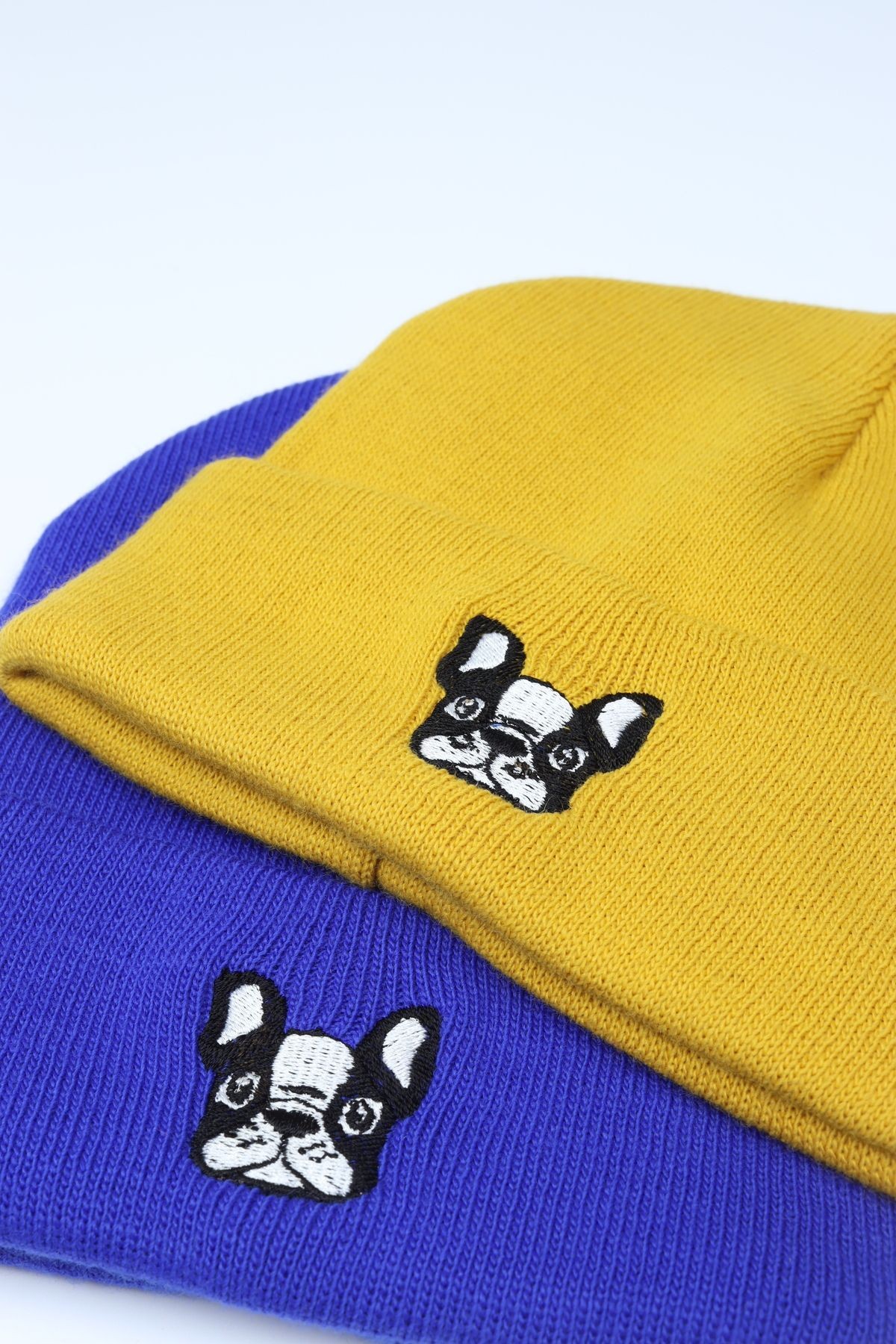 French Bulldog Bere