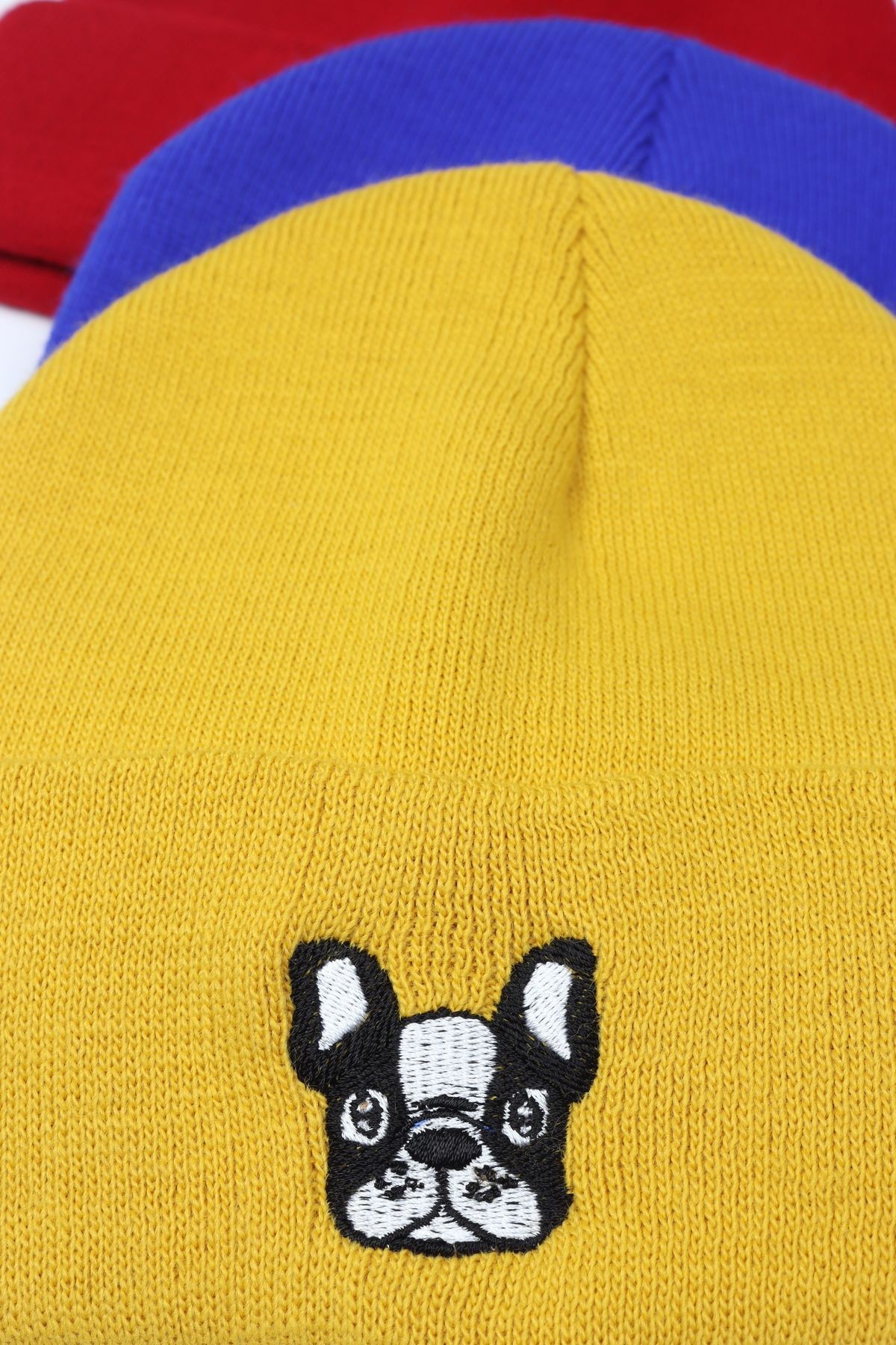 French Bulldog Bere