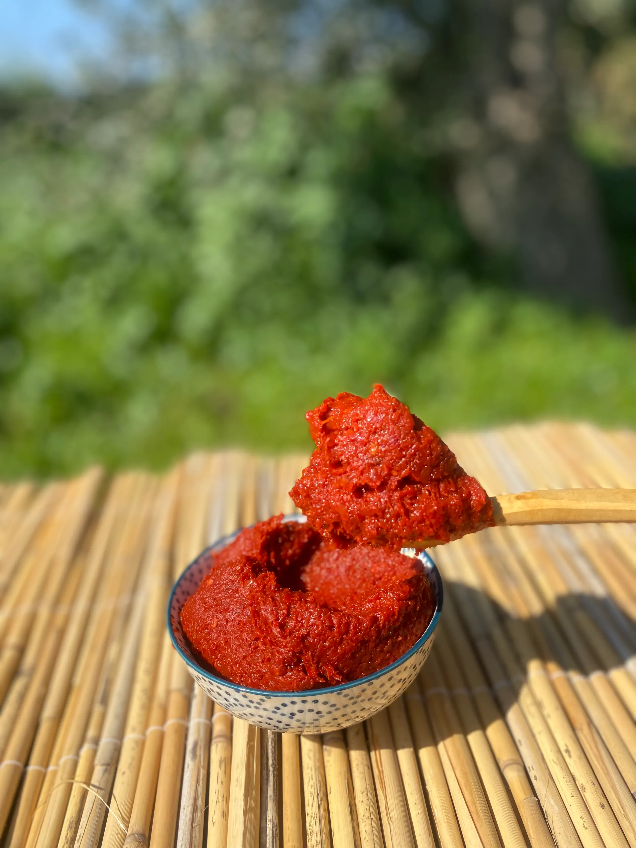 Domates Salçası