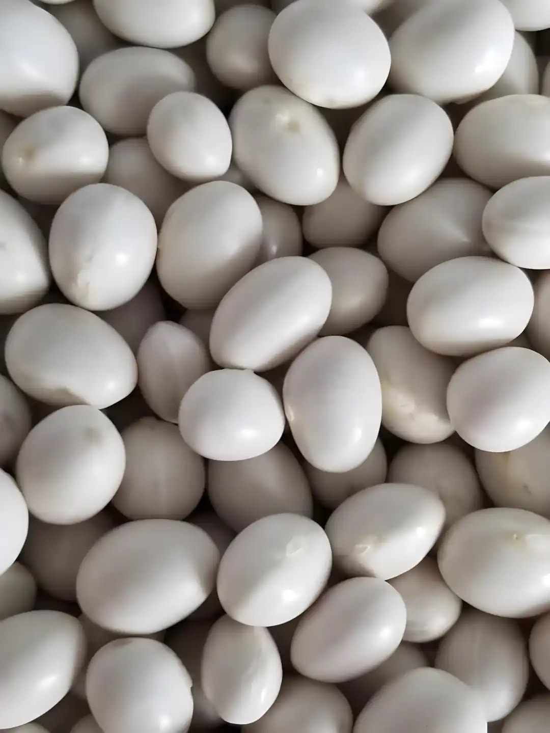 Serenti Atalık Tohum Kuru Fasulye / Yarım kg – Giresun Dağ Köylerinden